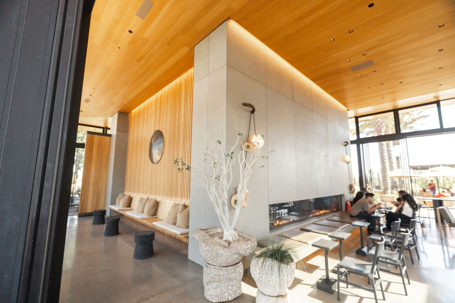Modern interior space with wooden ceiling and contemporary furniture in natural light.