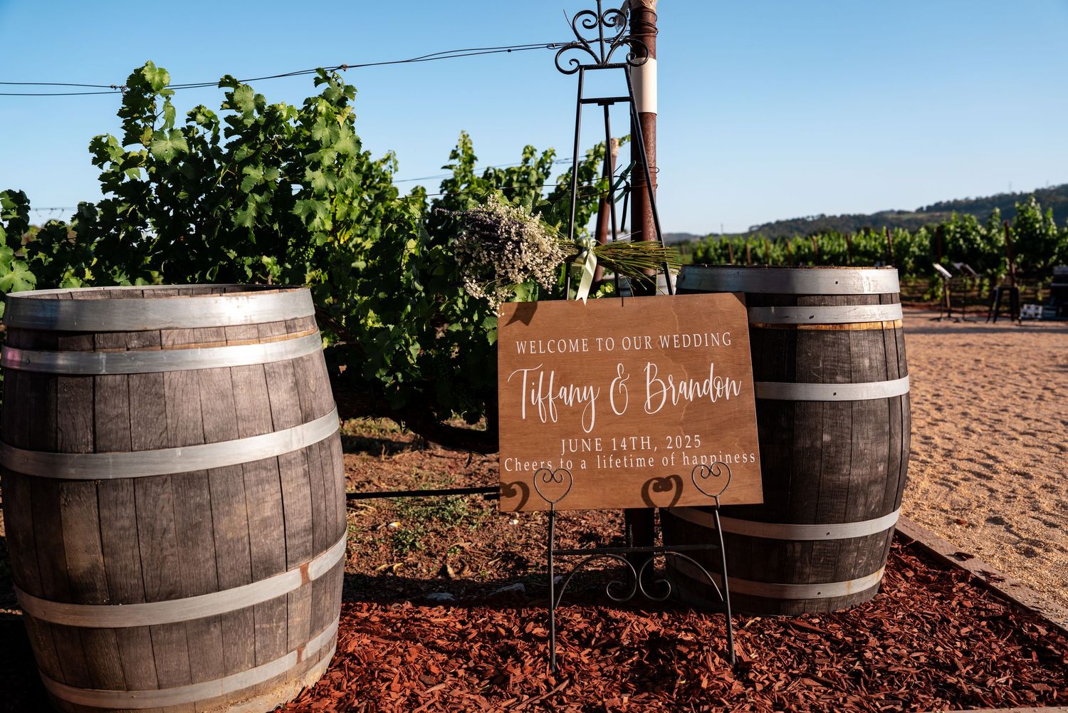 Rustic wooden wine barrels frame a wedding welcome sign in a vineyard setting.