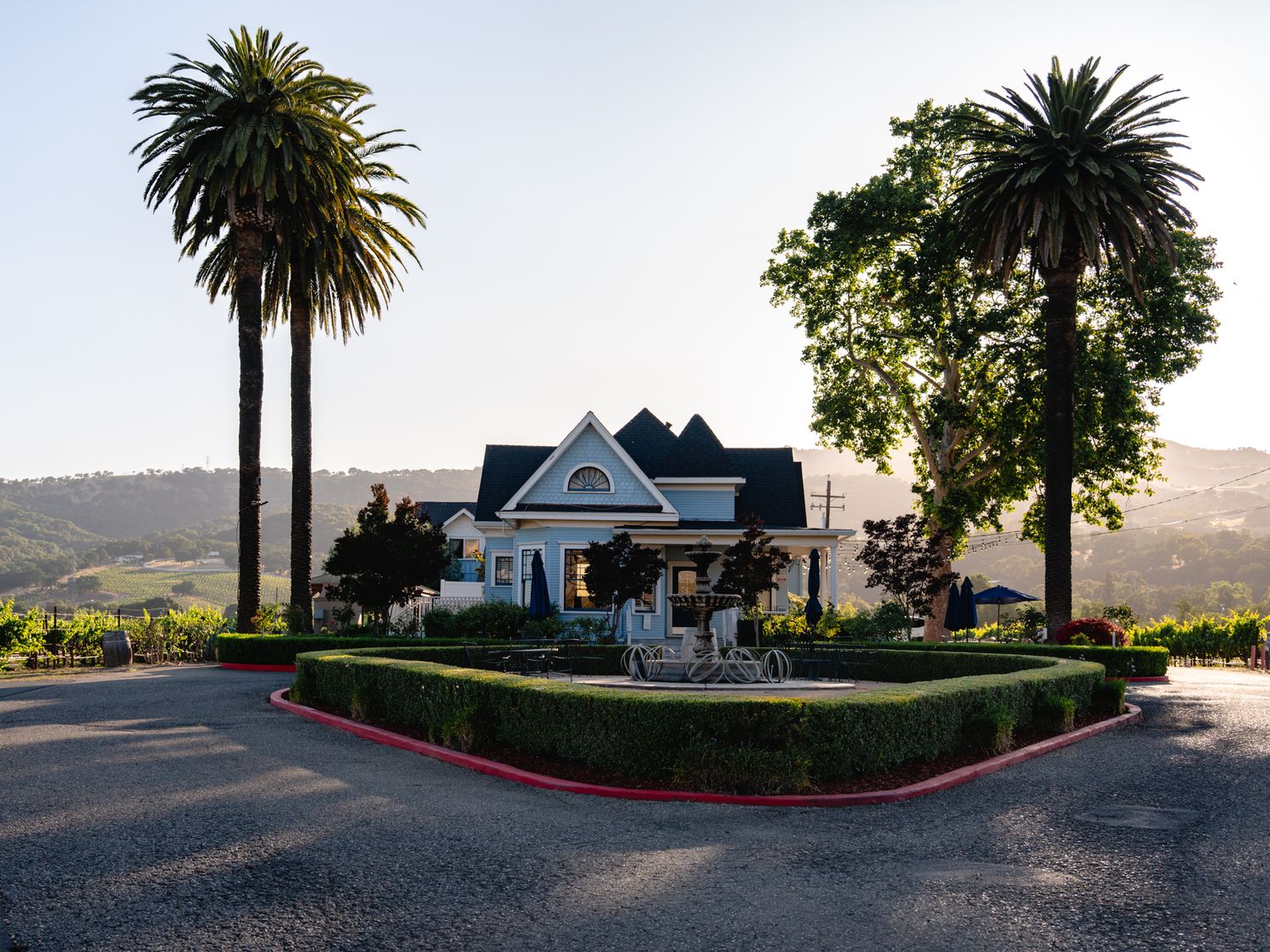 Victorian style mansion with palm trees and manicured landscaping at sunset at Vezér Family Vineyard - Blue Victorian