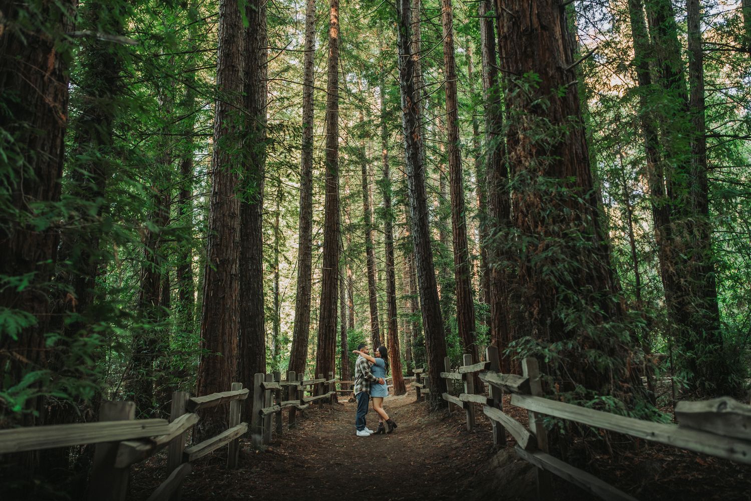 Couple standing together on a wooden boardwalk path surrounded by tall redwood trees in a lush, misty forest.