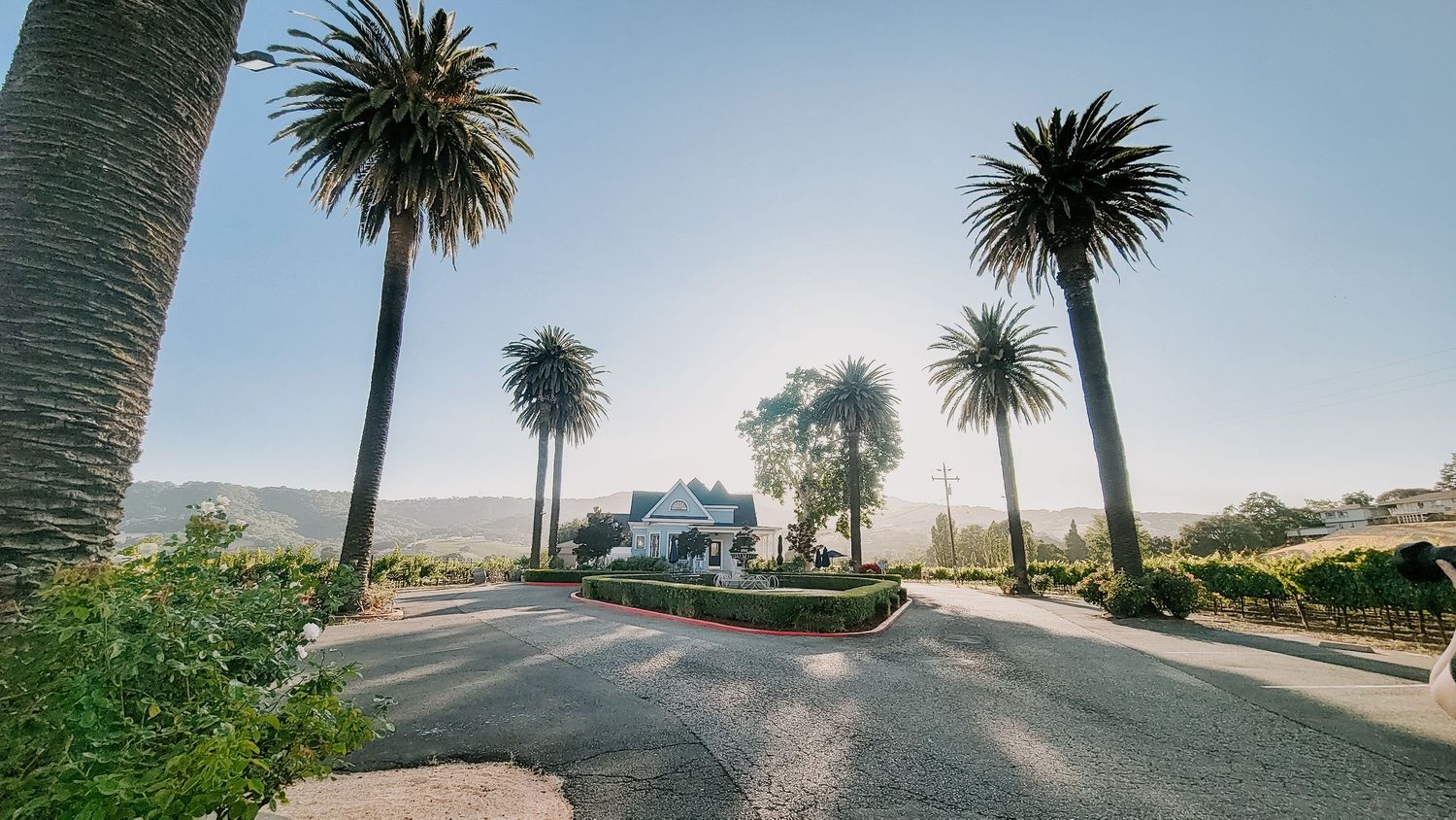 Palm trees line a winding road leading to a coastal mansion under blue skies.