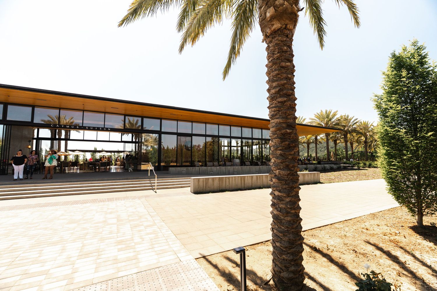 Modern building exterior with palm trees and geometric architecture.