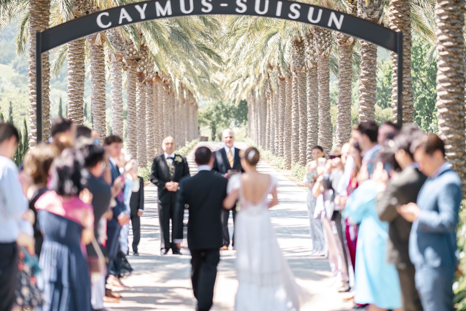 Outdoor wedding ceremony under palm trees with Caymus-Suisun archway.