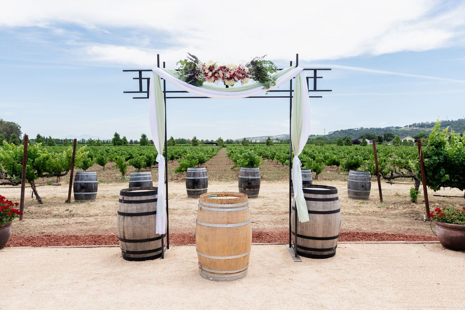 Wine barrels line a scenic vineyard path with mountains in the background.