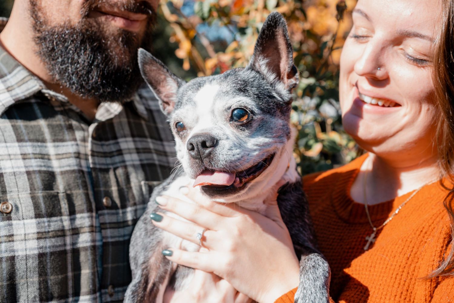 A couple poses with their happy gray dog in a series of playful photos.