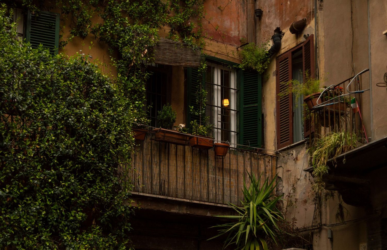 Rustic Italian balcony with green shutters, lush climbing plants, and potted flowers on weathered stone building.