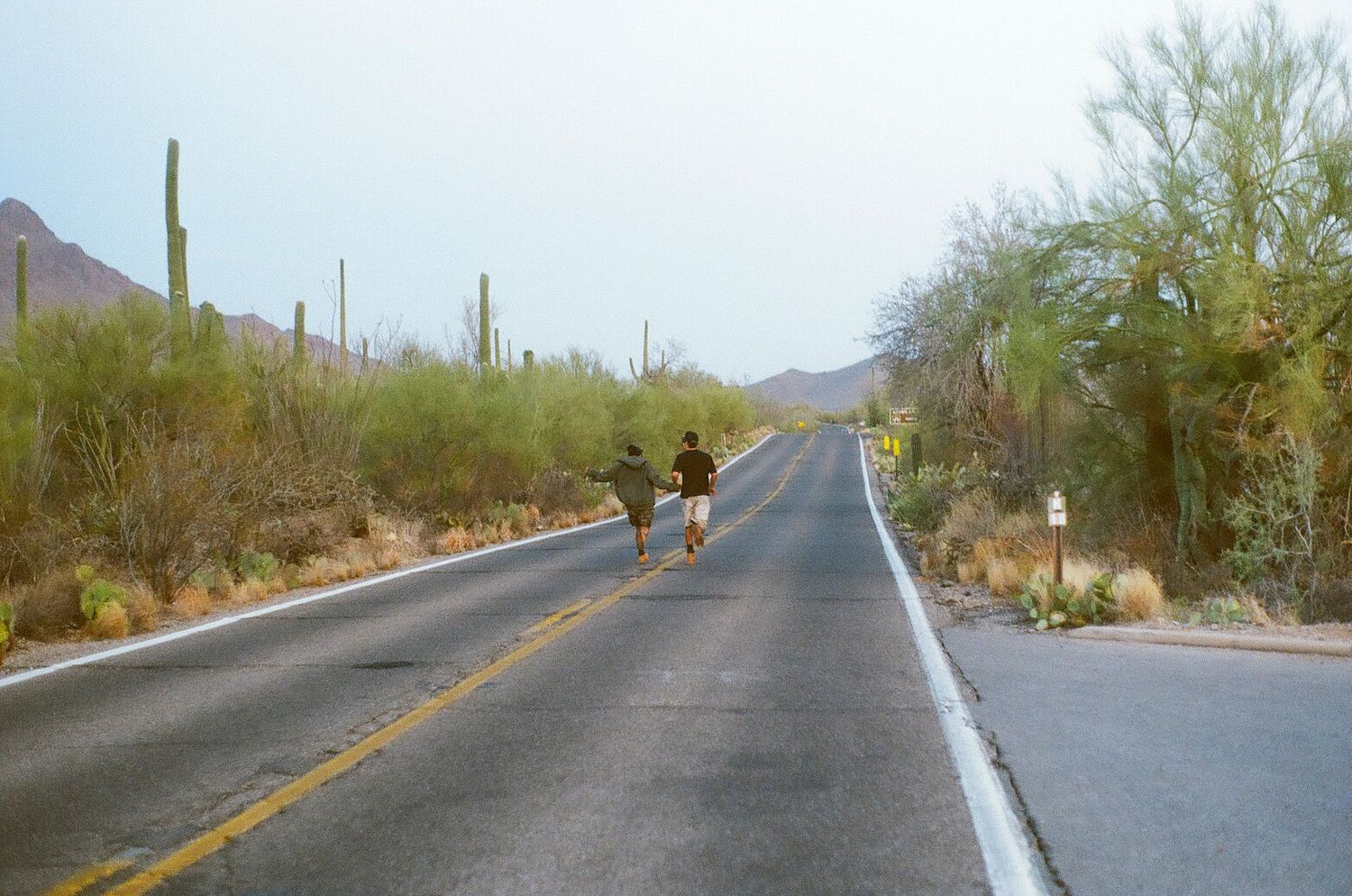 Two people walking on a desert road lined with saguaro cacti and mountains.