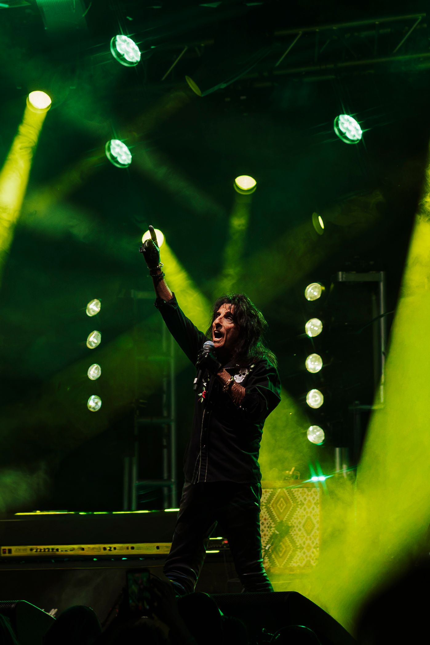 Rock performer raises fist under dramatic green stage lights during energetic live concert performance.