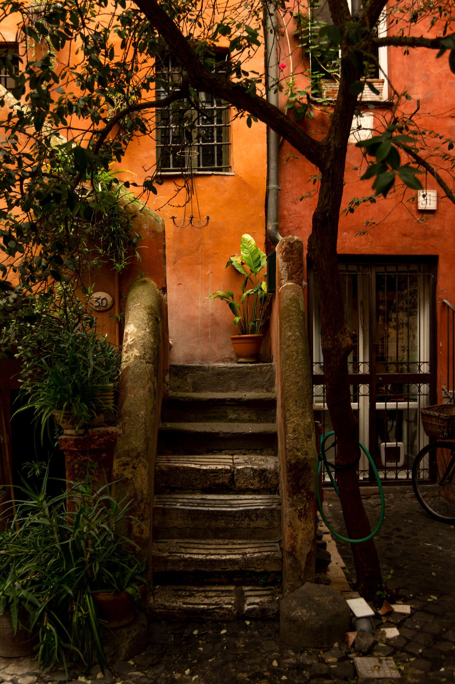 Stone staircase leads to orange building entrance with plants and trees nearby.