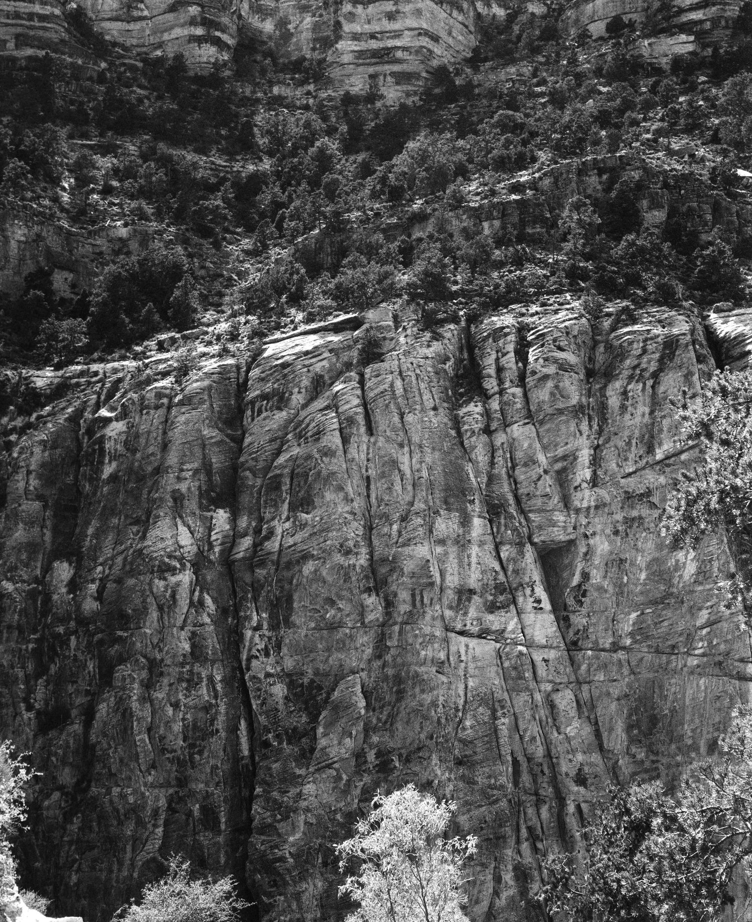 Black and white photo of towering rocky canyon cliffs with trees below.