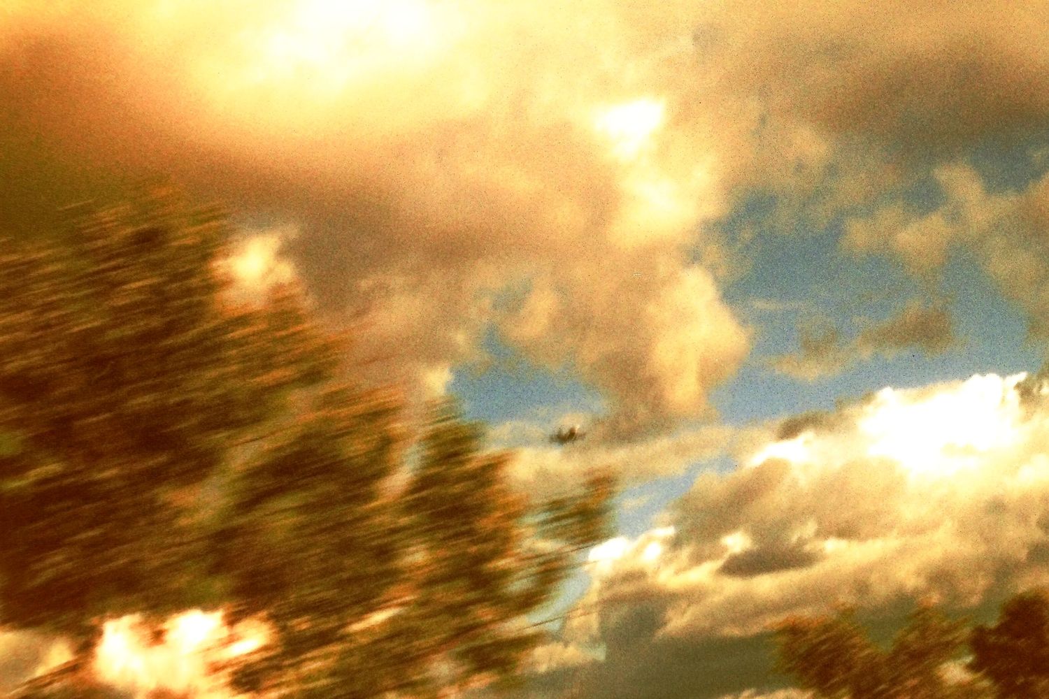 A plane flies through dramatic golden-lit cloudy sky above blurred treetops in a motion-blurred outdoor shot.