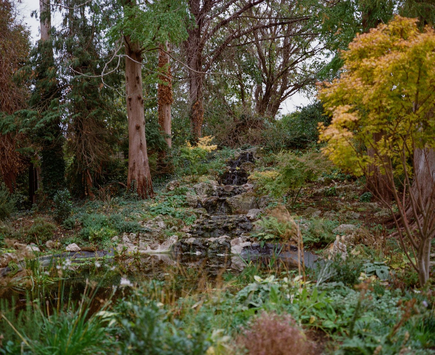 A serene garden rockery with a small pond, cascading water feature, and colorful autumn foliage among tall trees.