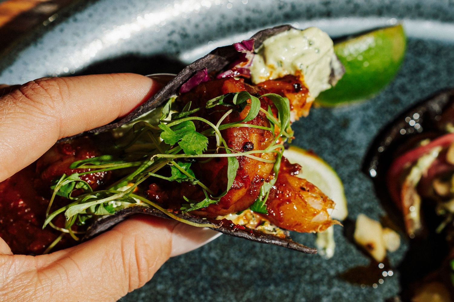 Hand holding a gourmet taco filled with fresh herbs, roasted vegetables, and creamy cheese on a dark ceramic plate.