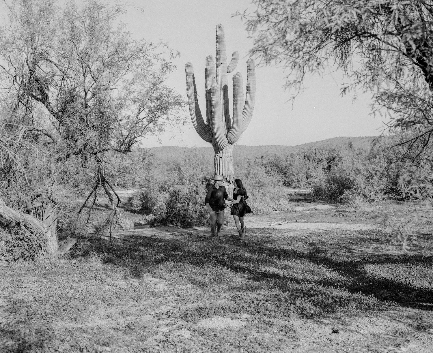 Black and white photo of couple walking near large saguaro cactus in desert landscape.