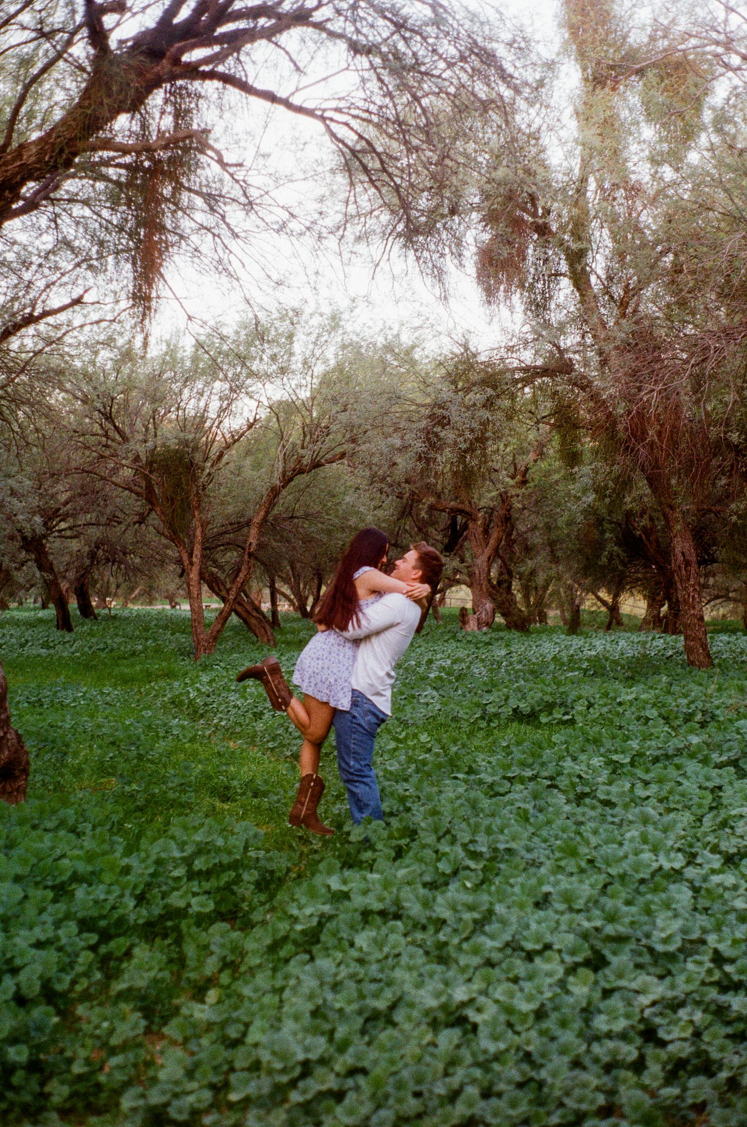 Romantic couple kissing in lush green meadow surrounded by trees, man lifting woman off ground.