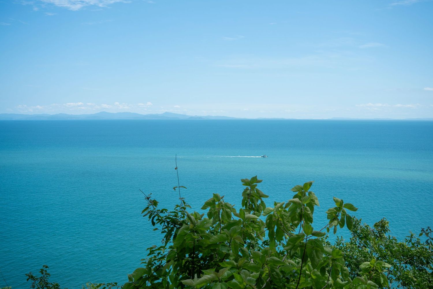 Aerial view of turquoise ocean with lush green treetops in foreground and distant mountains under clear blue sky.