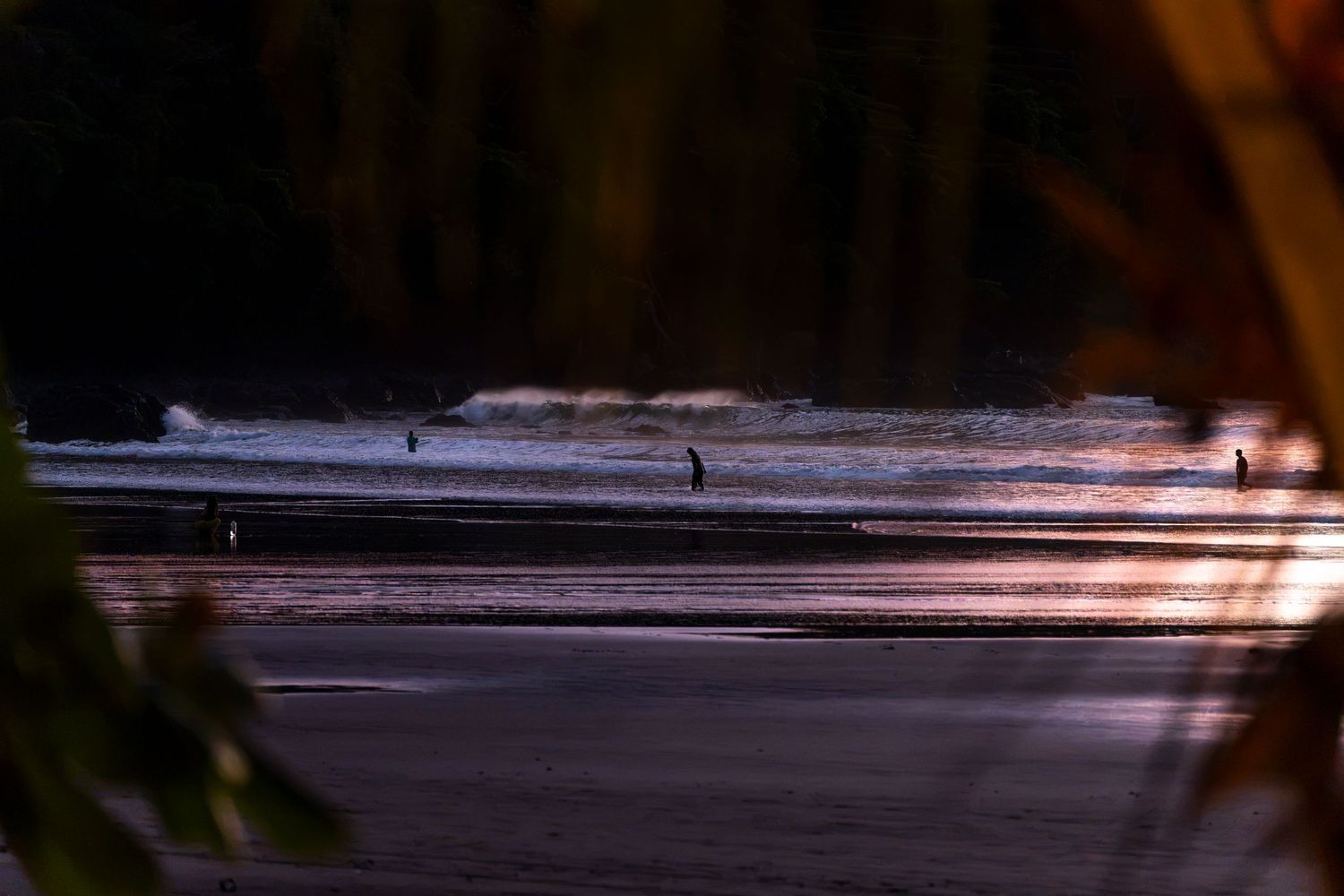 Surfers on a misty beach at sunset with gentle waves and lush tropical foliage framing the scene.