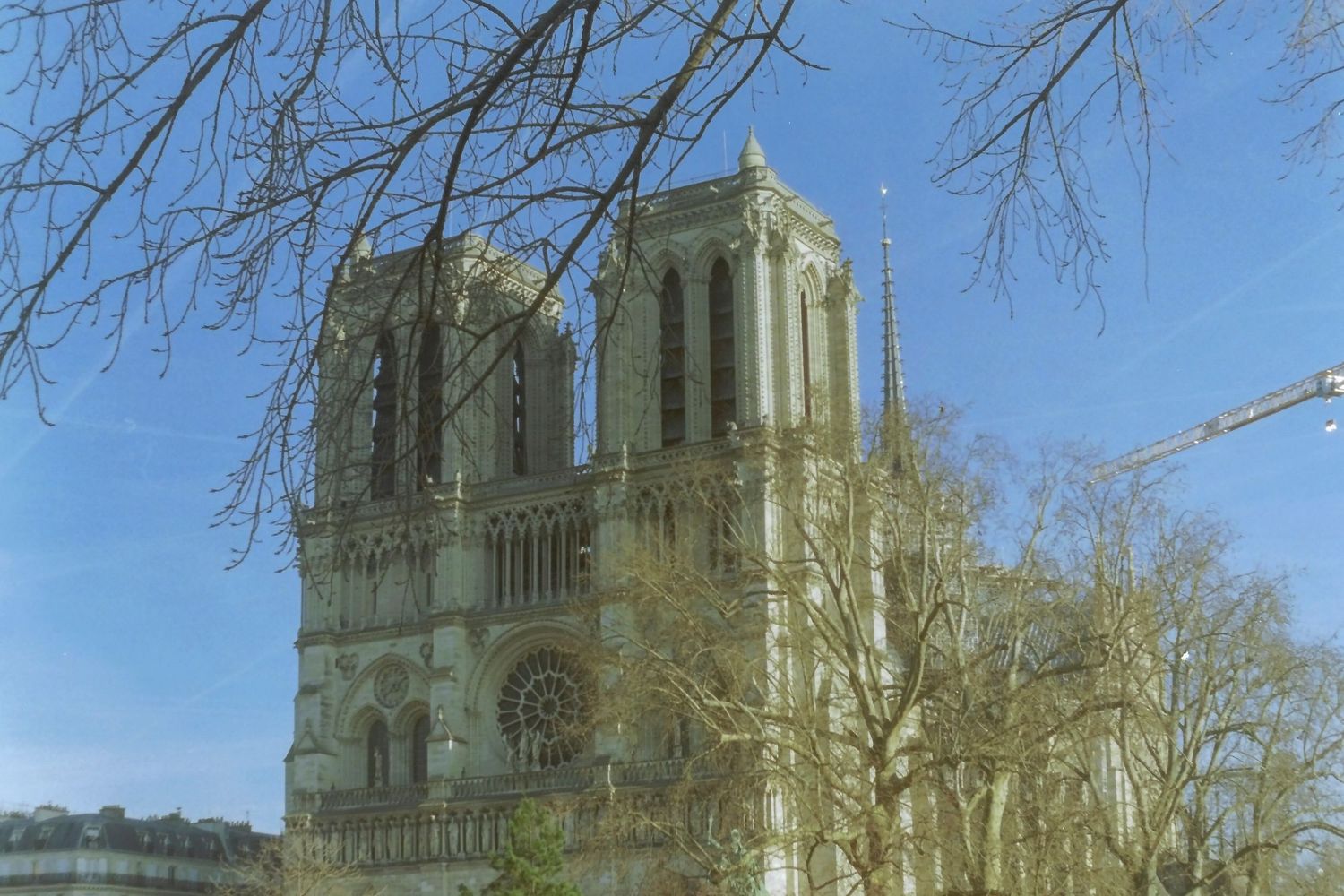 Notre-Dame Cathedral in Paris with twin Gothic towers rising above bare winter trees against a clear blue sky.