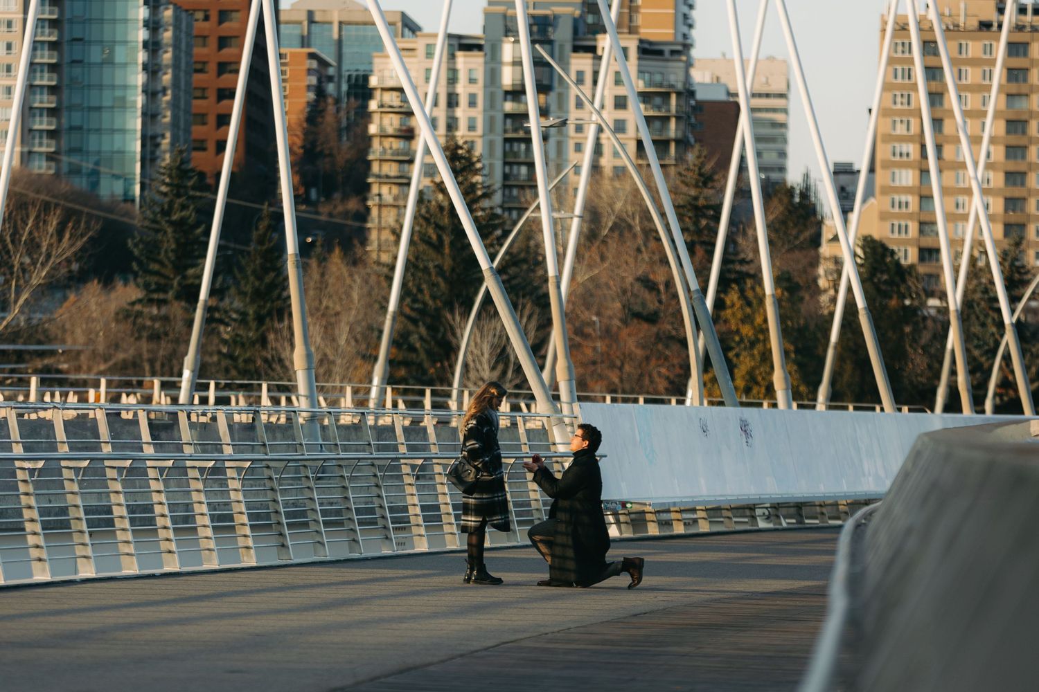 edmonton fall proposal on walterdale bridge