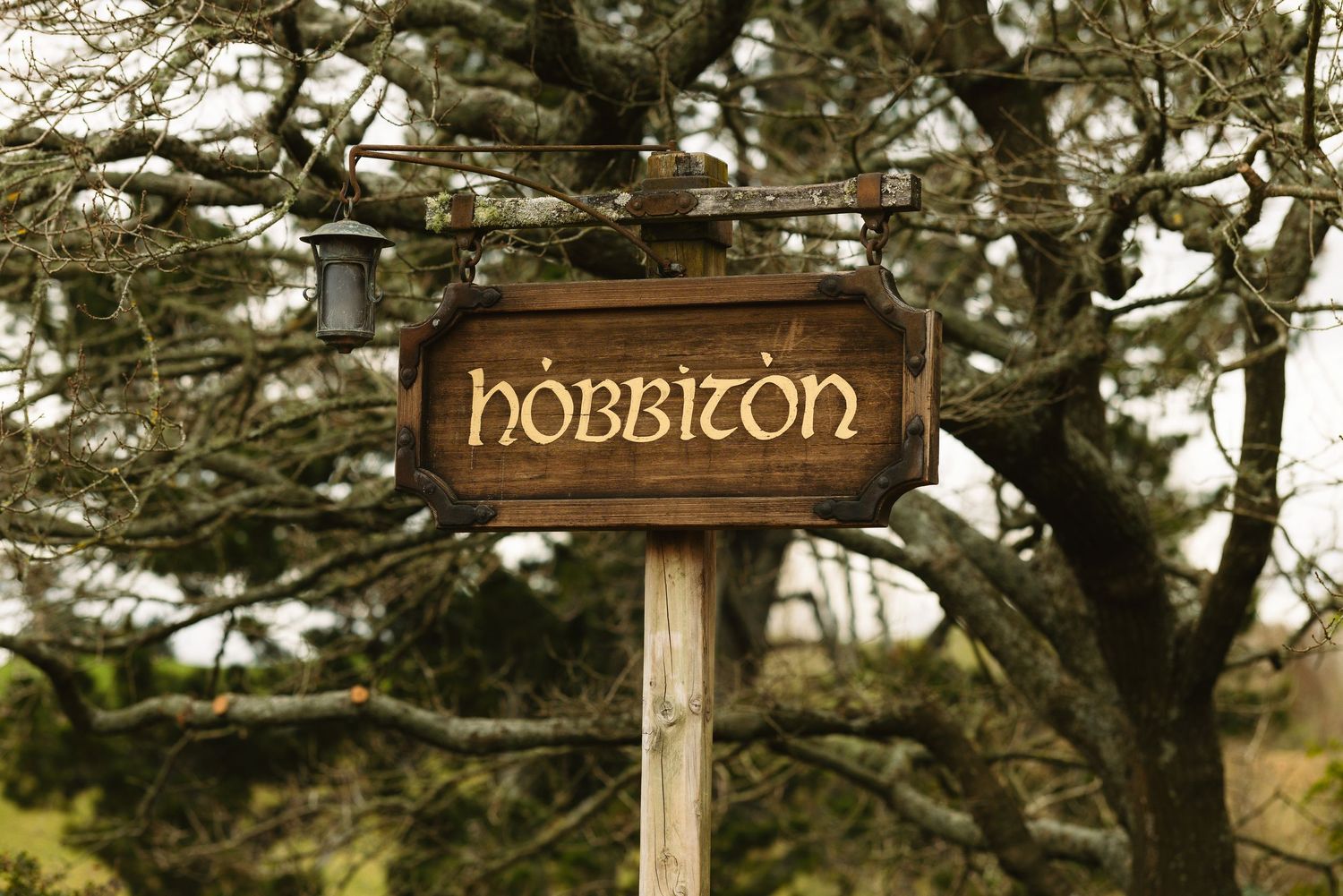 Destination wedding in Hobbiton New Zealand captured by destination wedding photographer - Marcu fotography