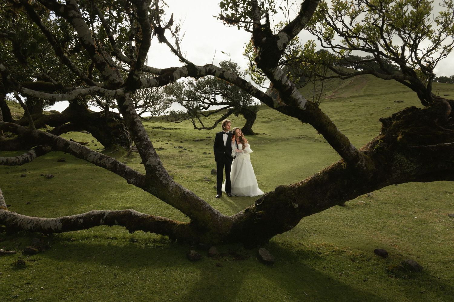 European wedding photographer capturing wedding couple in madeira in fanal forest