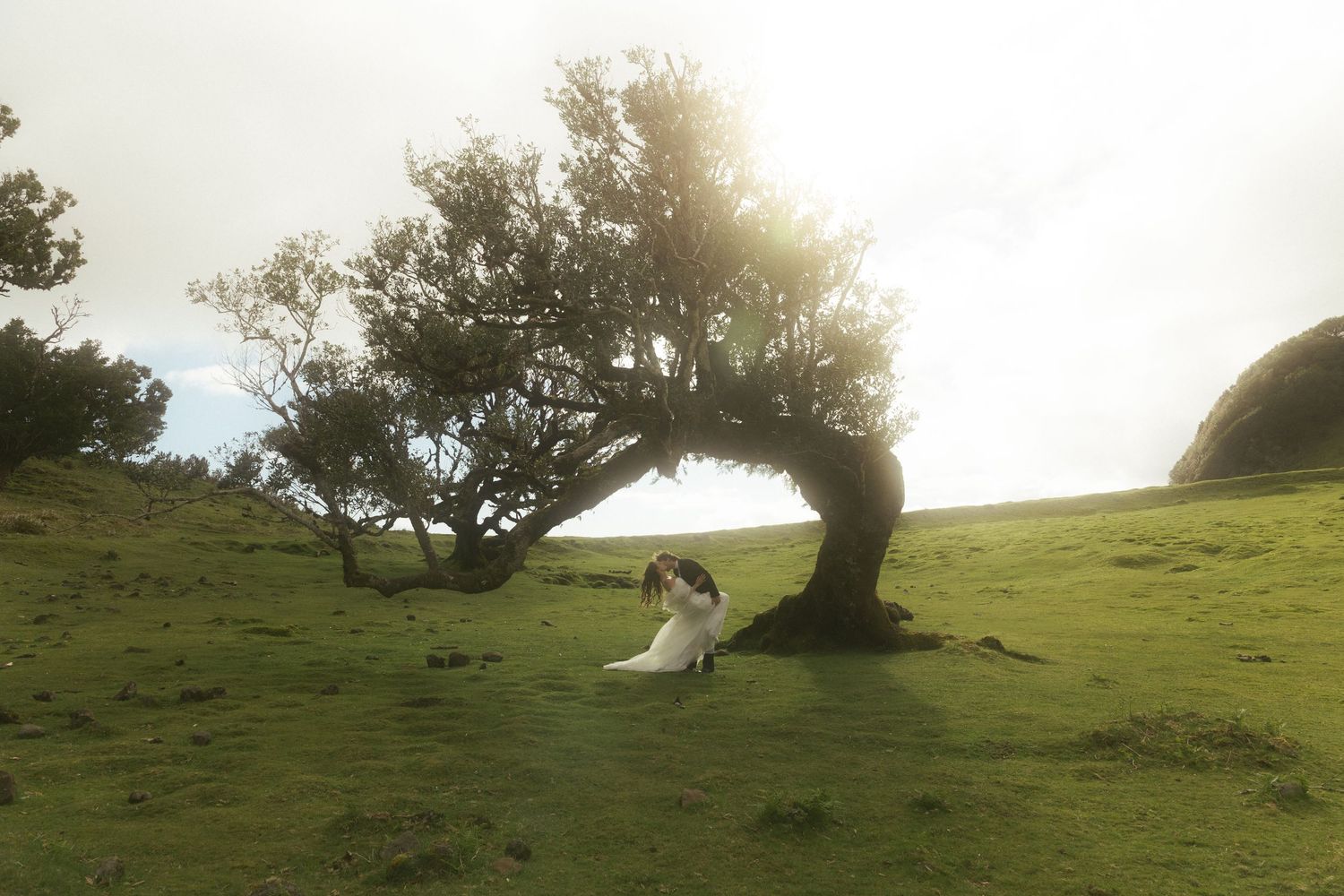 European wedding photographer capturing wedding couple in madeira in fanal forest