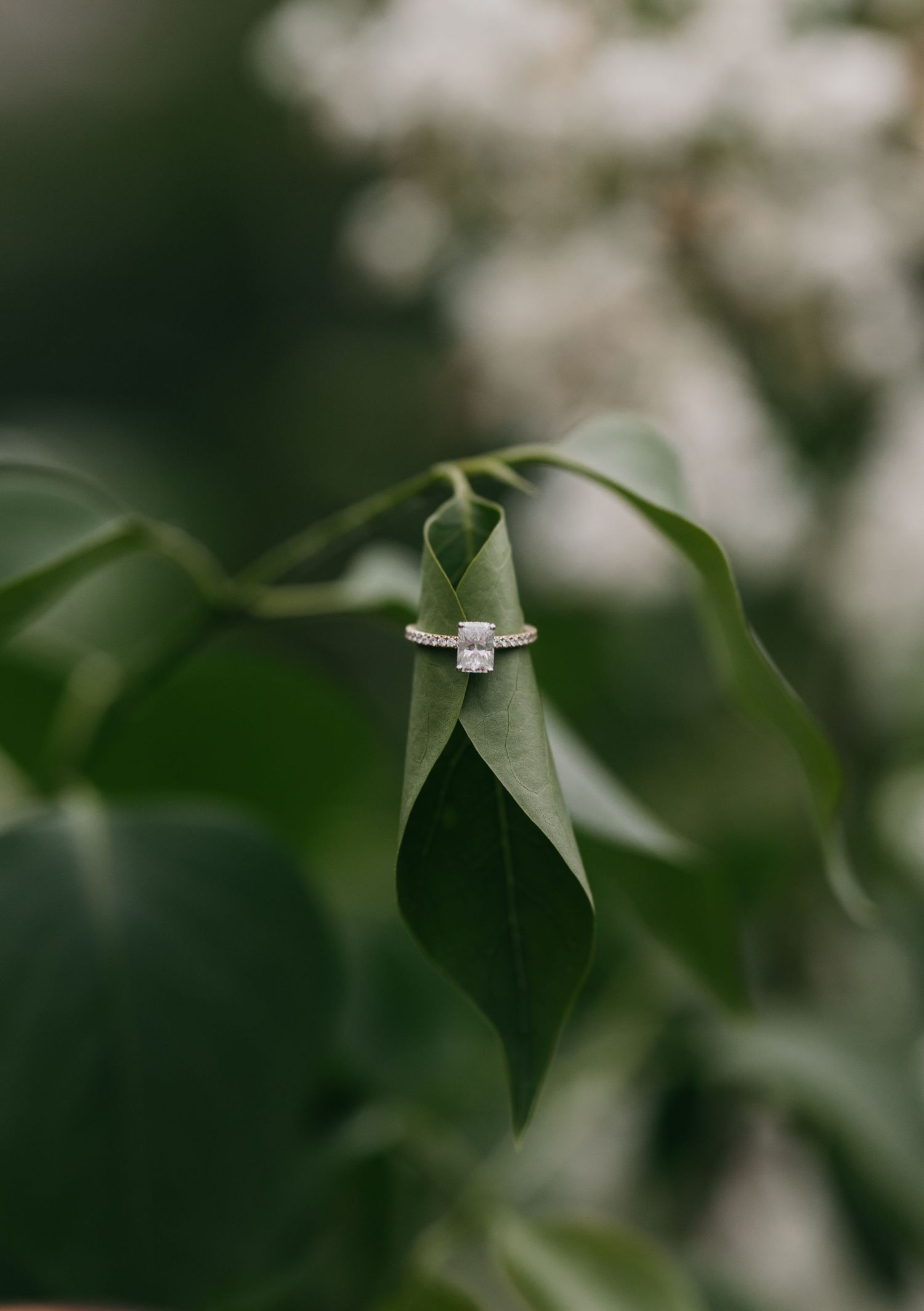 ring wrapped around leaf