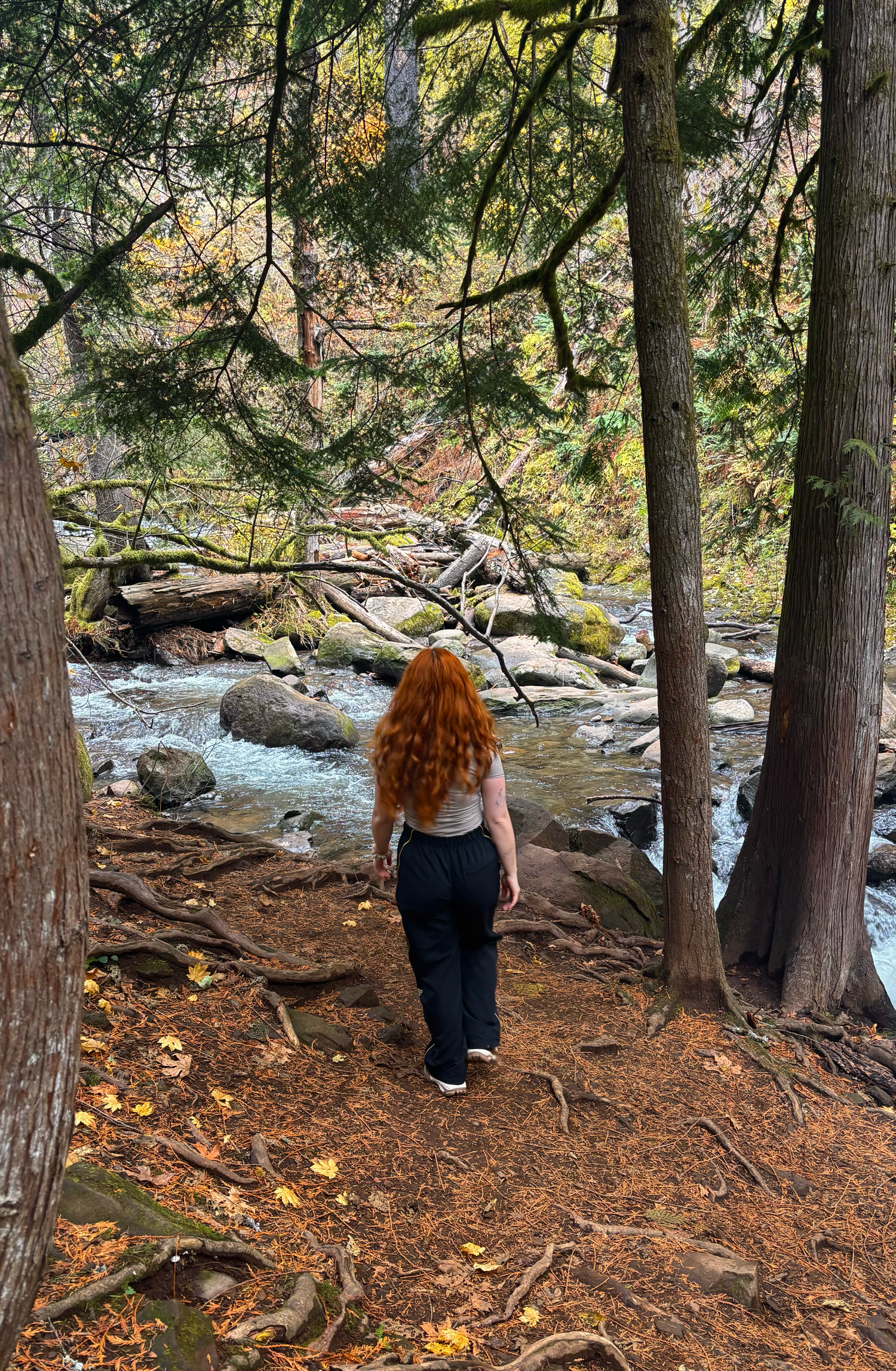 photographer traveling