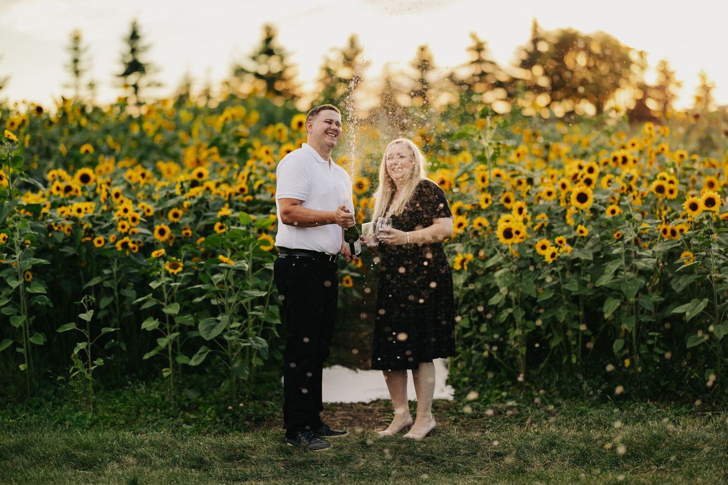 couple popping champagne in sunflower field