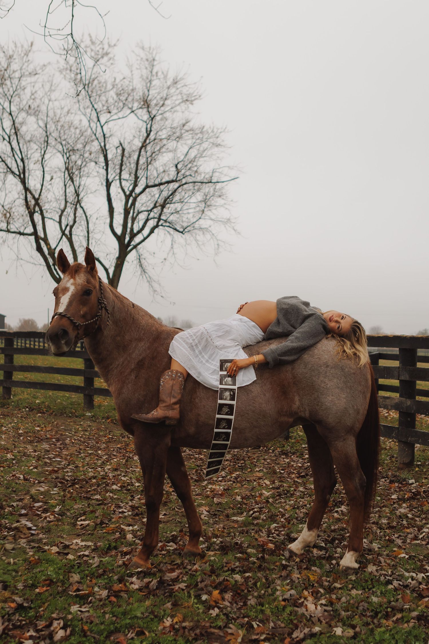 Brown horse stands saddled in a misty field with bare trees and wooden fencing in the background.