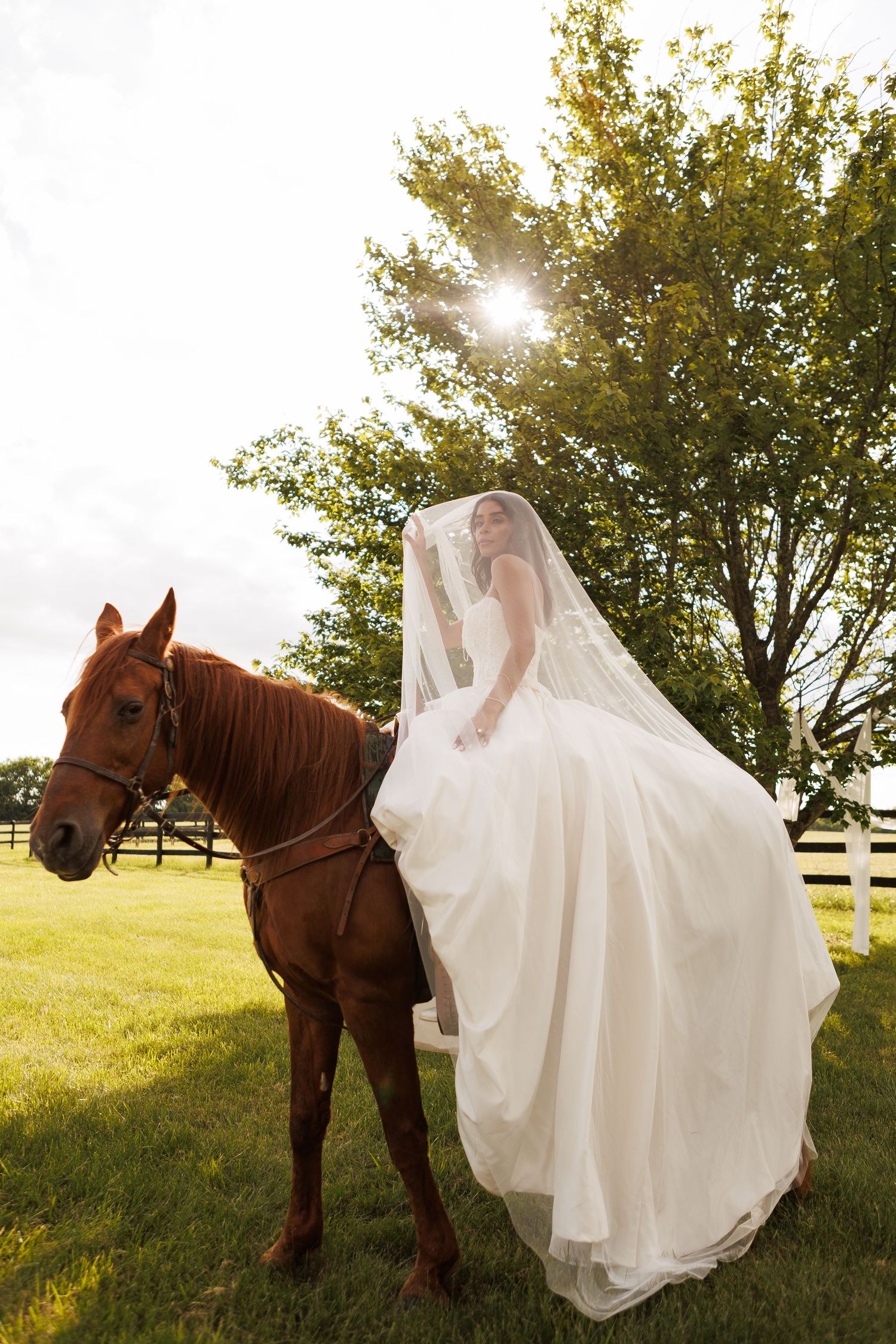 Bride in white gown and veil stands beside a chestnut horse on a sunlit green farm.