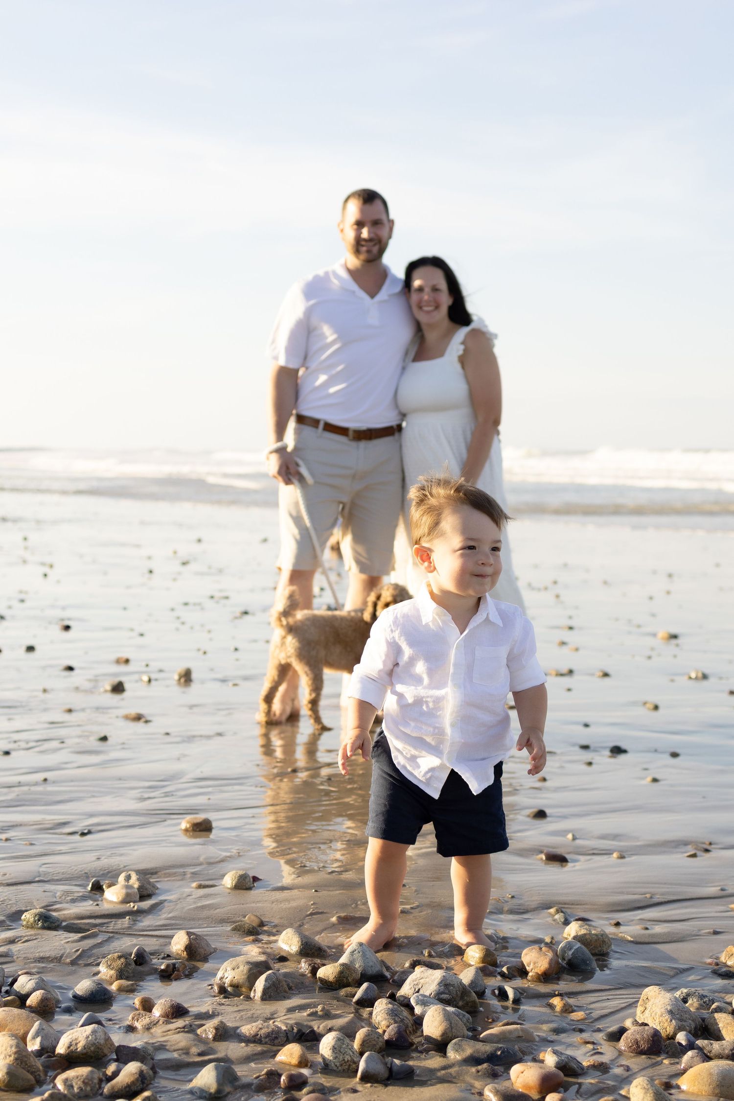 Family exploring seashells on beach at sunset.