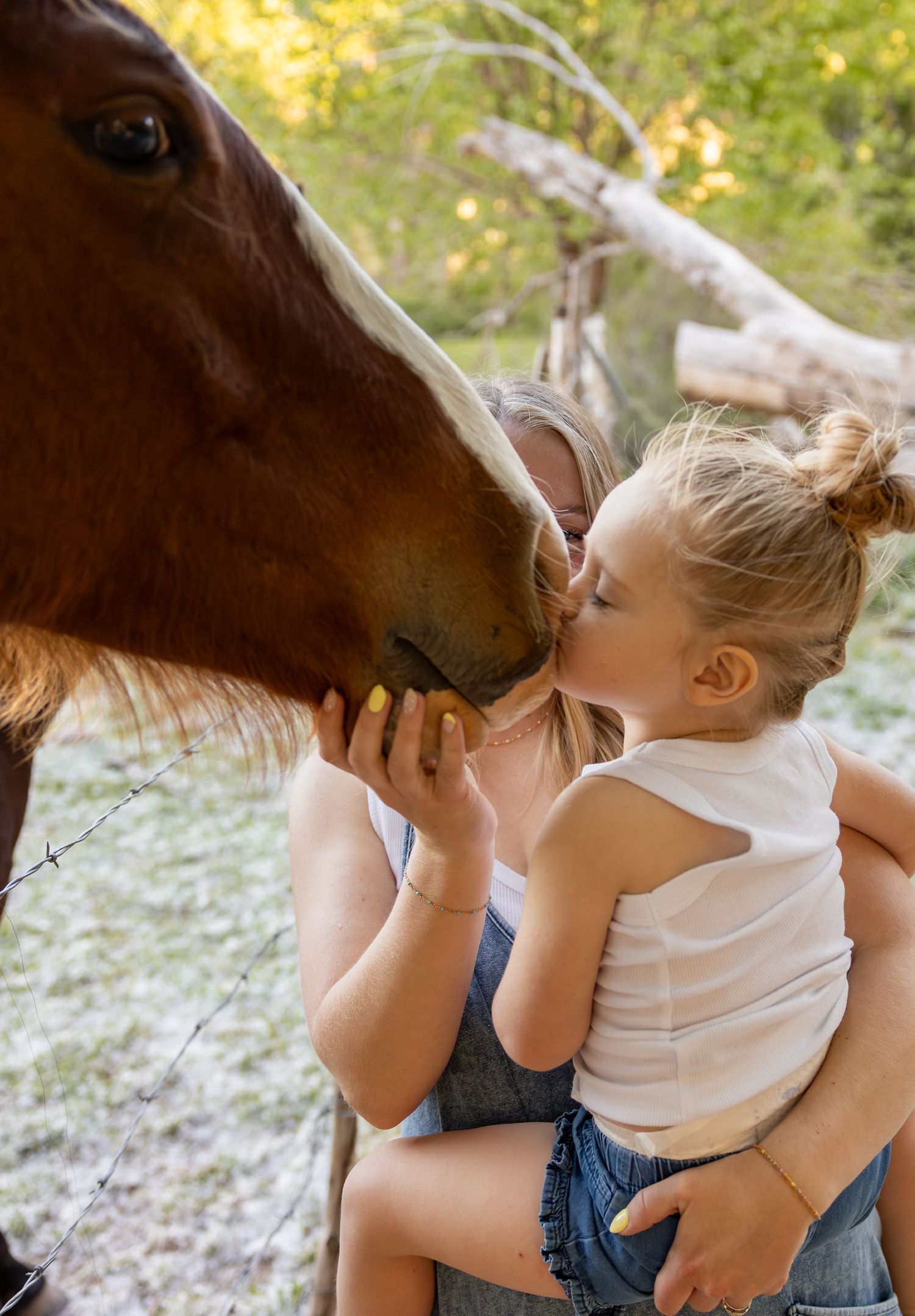A little girl is giving a horse a kiss on its nose in a field in Southern Utah.