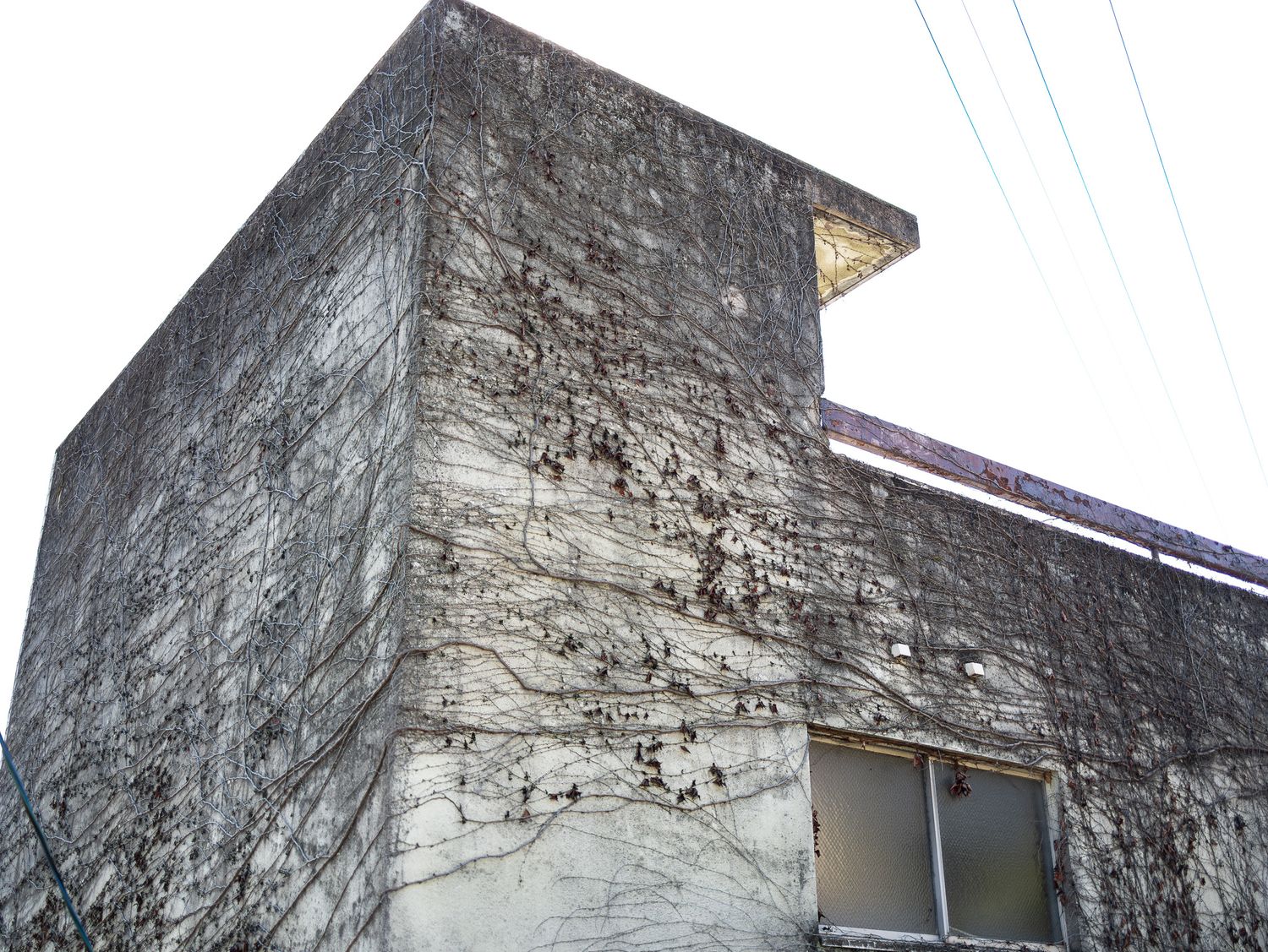 Weathered concrete building exterior with textured gray walls and windows.