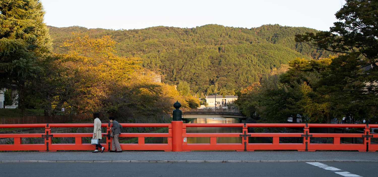 Panoramic view of mountains and forest landscape with red bridge railing in foreground.