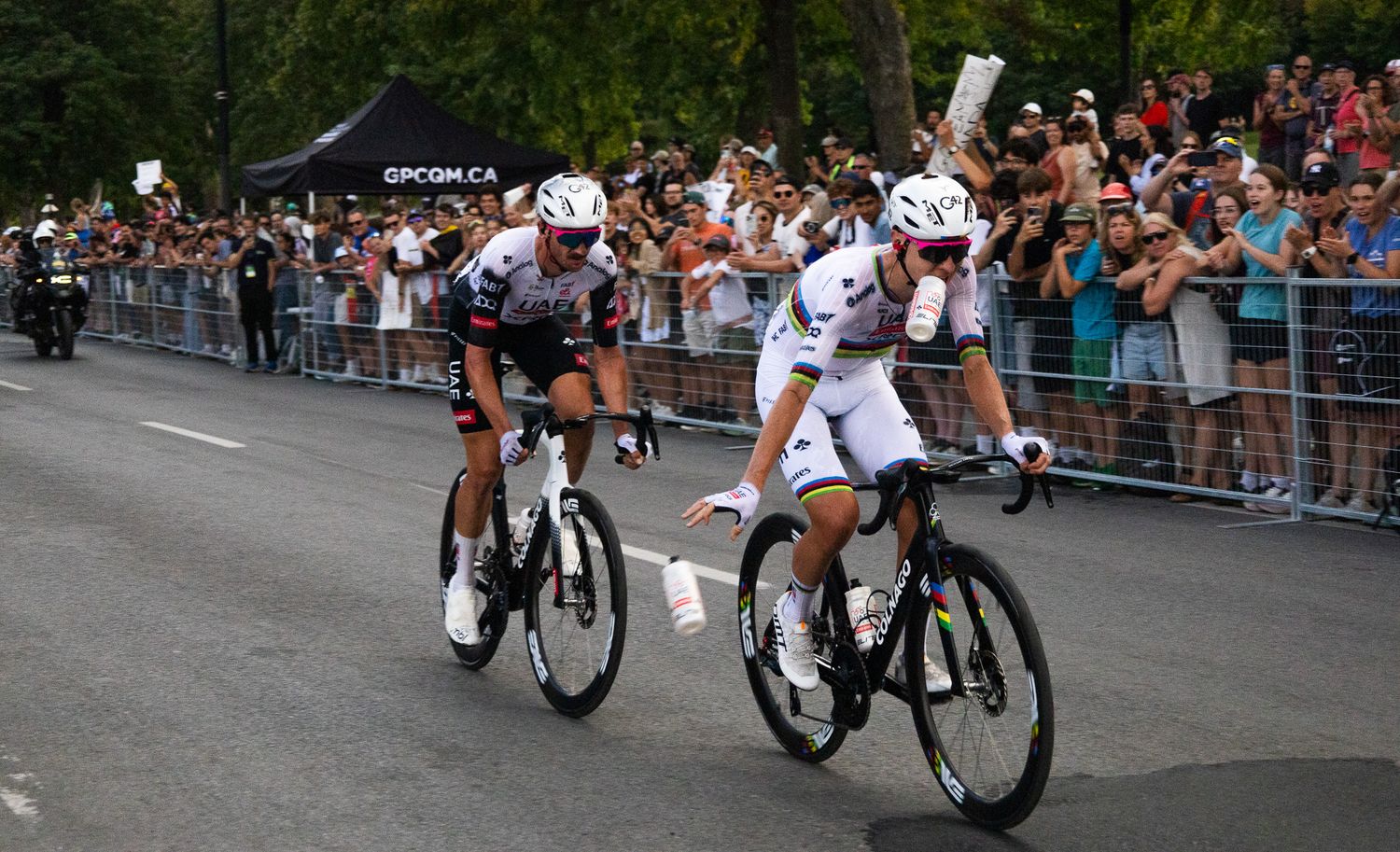 Professional cyclists competing on a road course lined with cheering spectators.