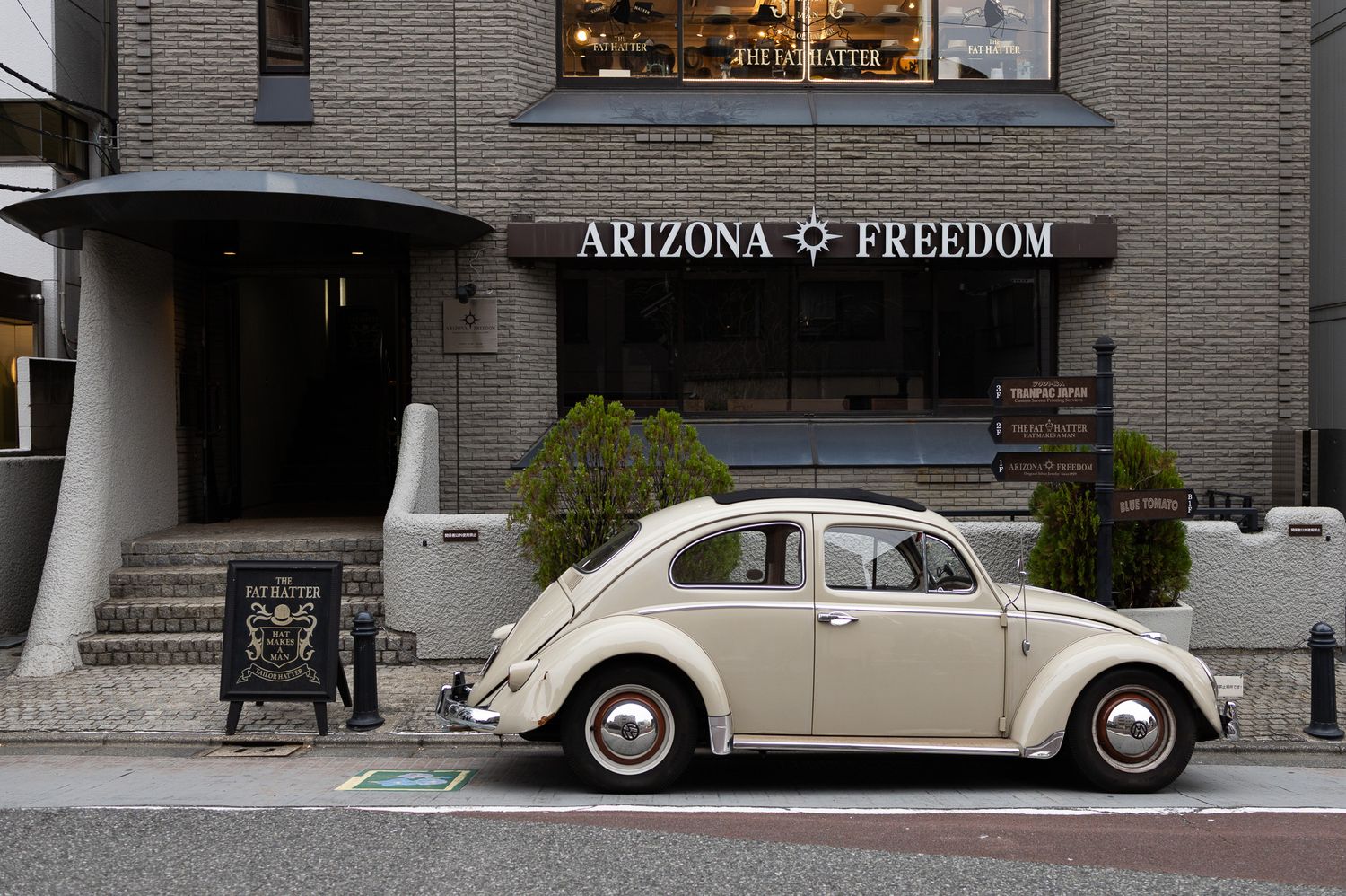 Classic vintage Volkswagen Beetles lined up in front of a brick building.