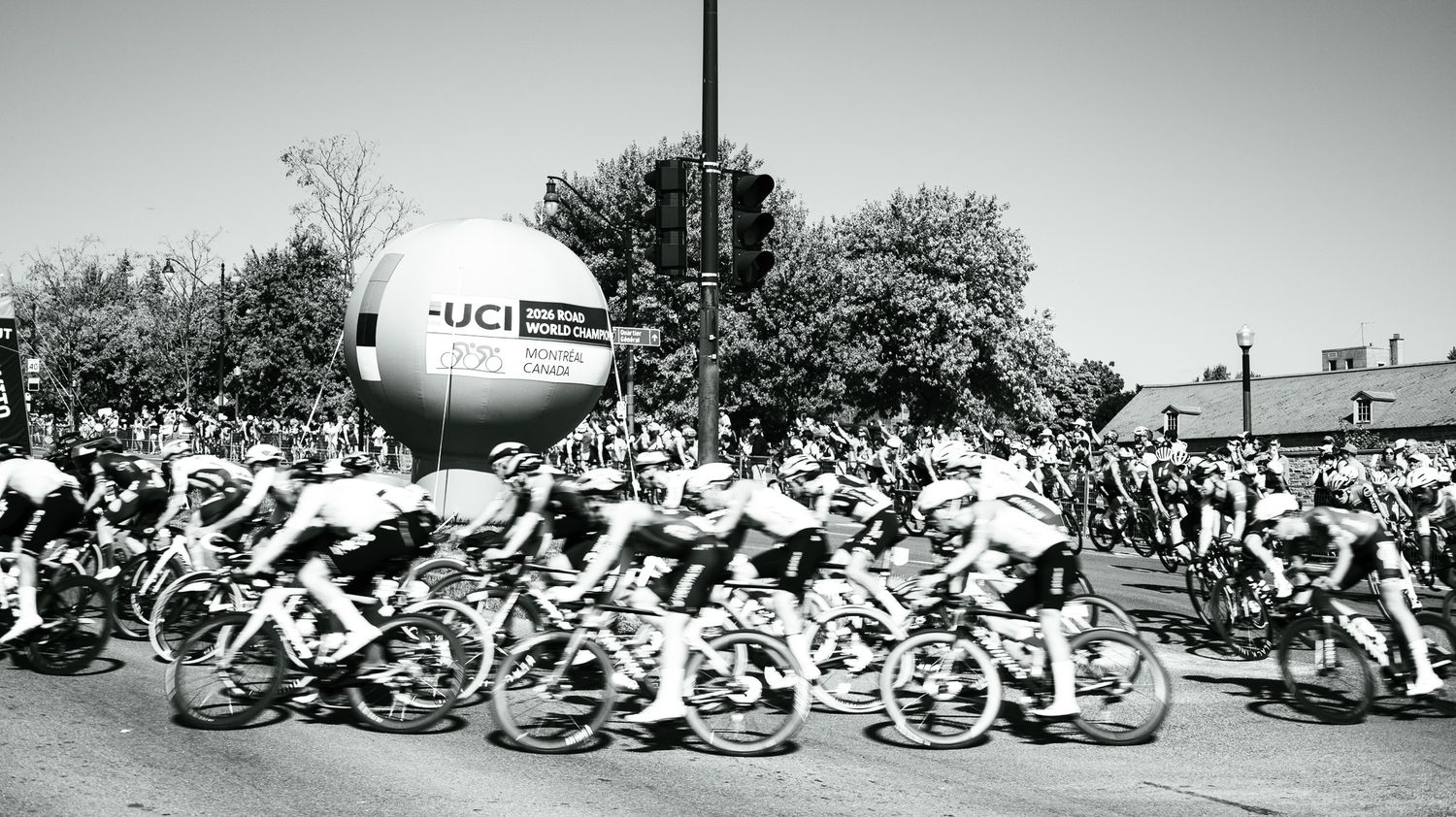 Row of racing bicycles laid down on grass during a cycling event break.