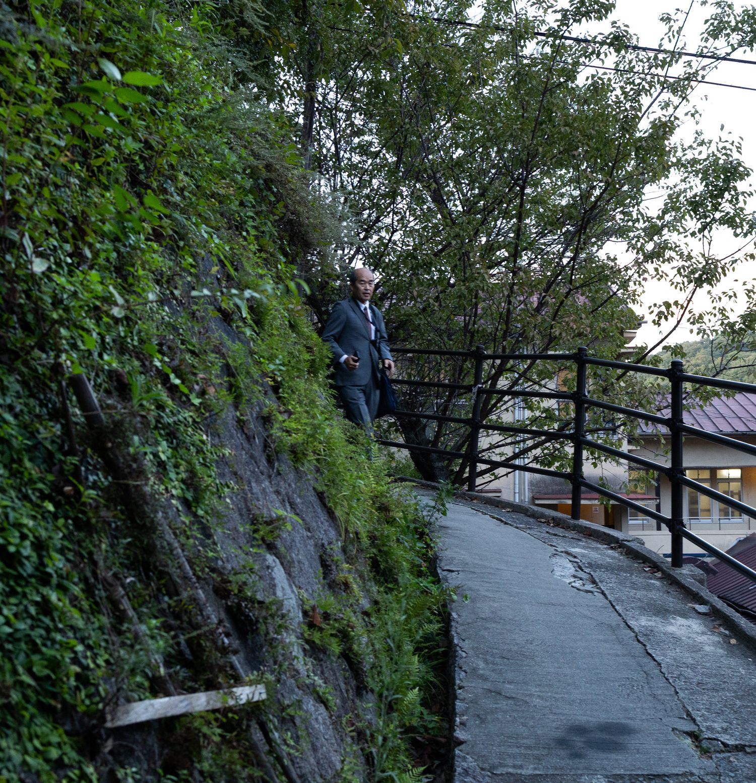 Winding hillside path with safety railings surrounded by dense vegetation.