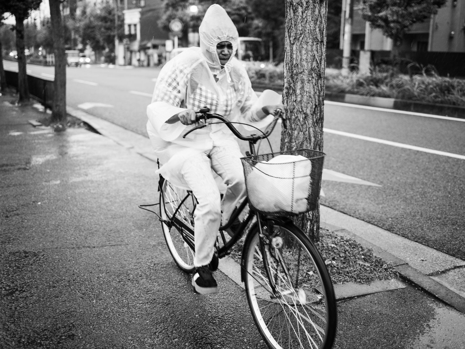 Person riding a bicycle on a quiet tree-lined street in black and white photography.