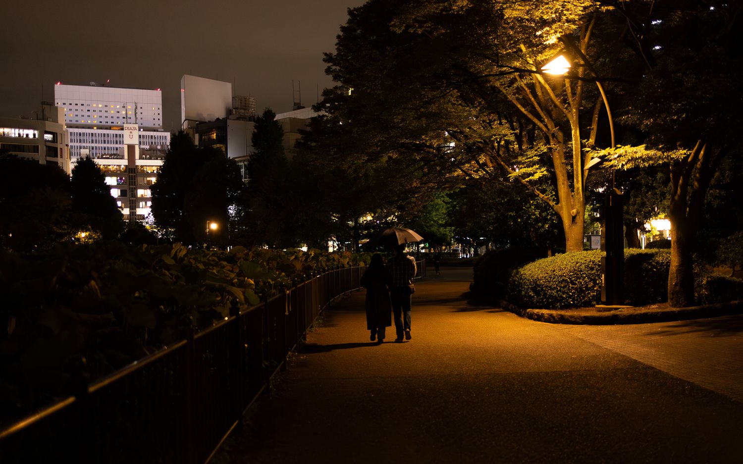 Dimly lit pathway through trees at night with street lamps casting golden light.