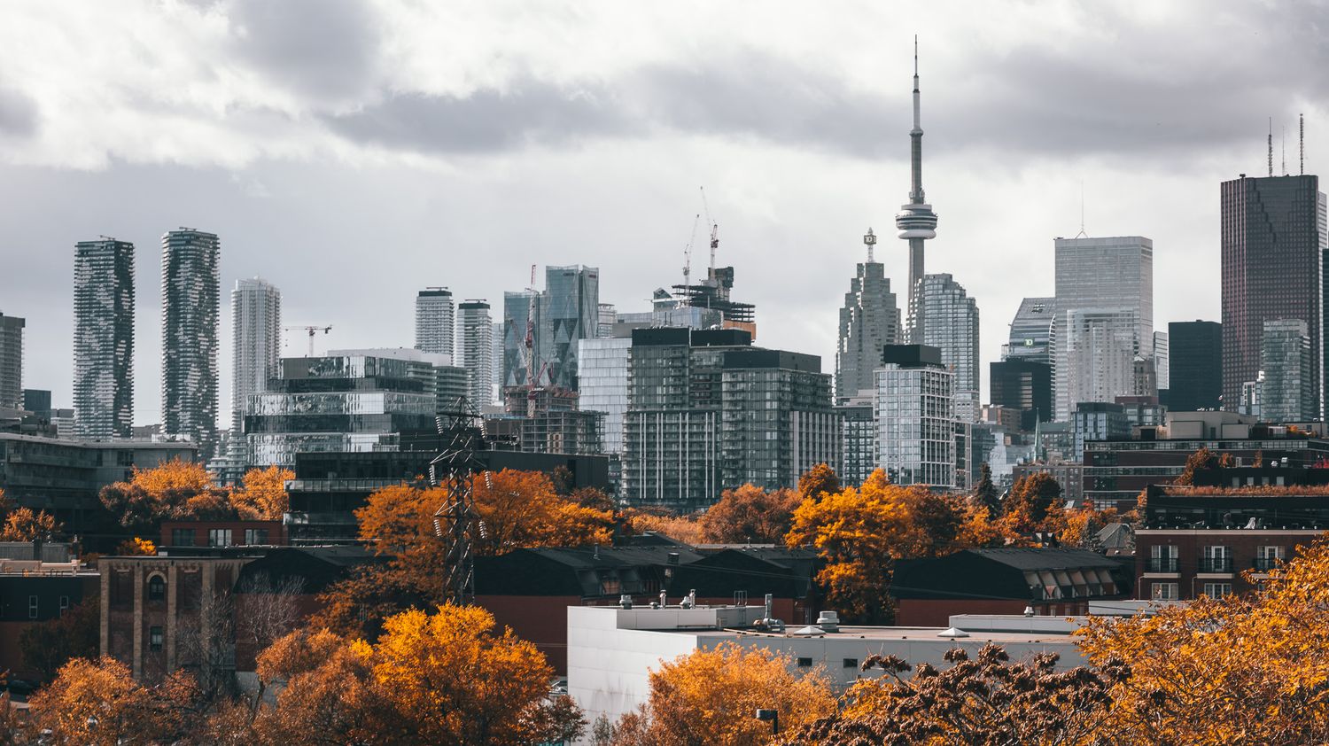 Toronto skyline panorama with autumn trees in the foreground and CN Tower against cloudy skies.