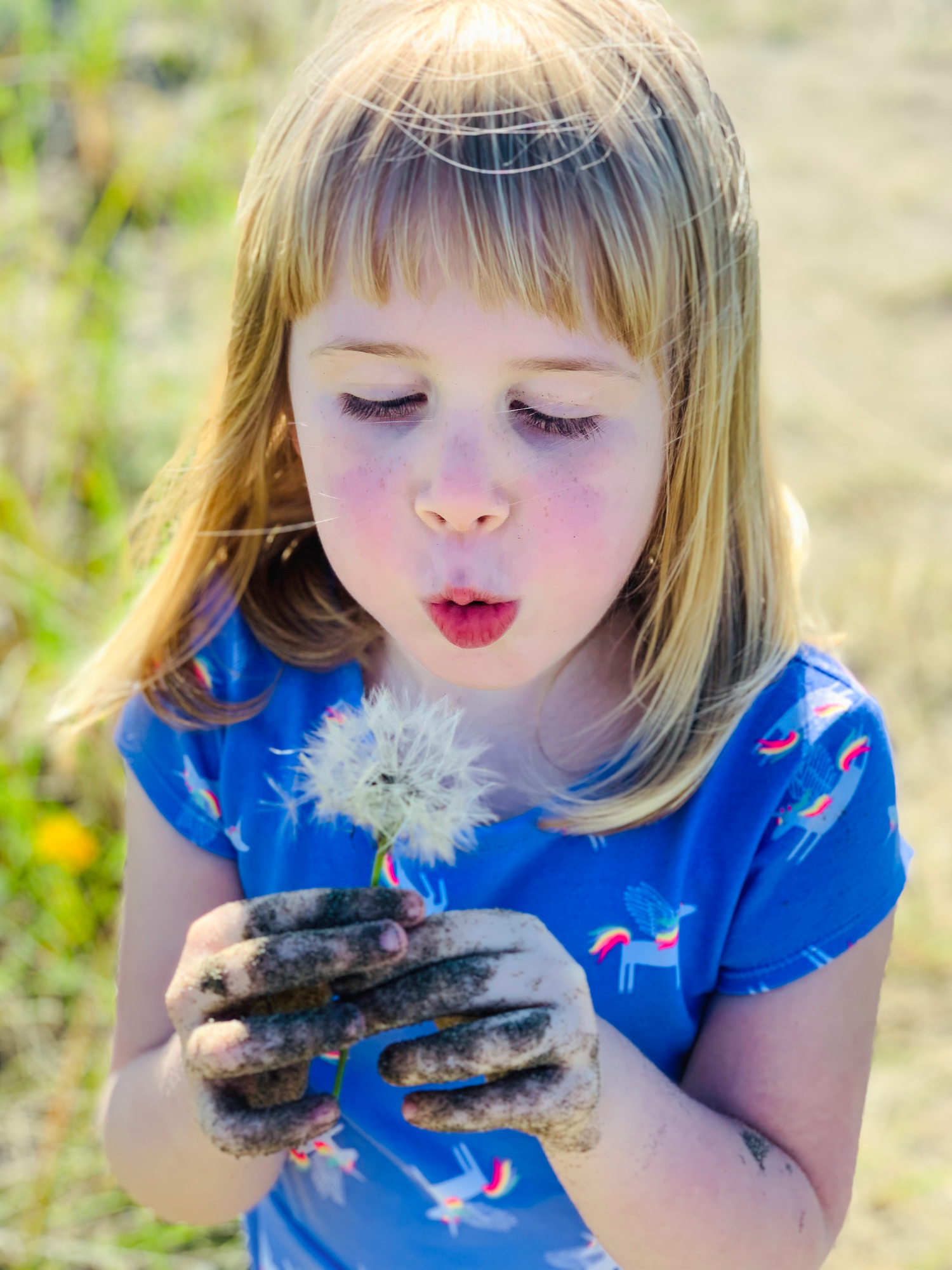 Young blonde girl with muddy hands blowing dandelion seeds outdoors on a sunny day wearing a blue shirt.