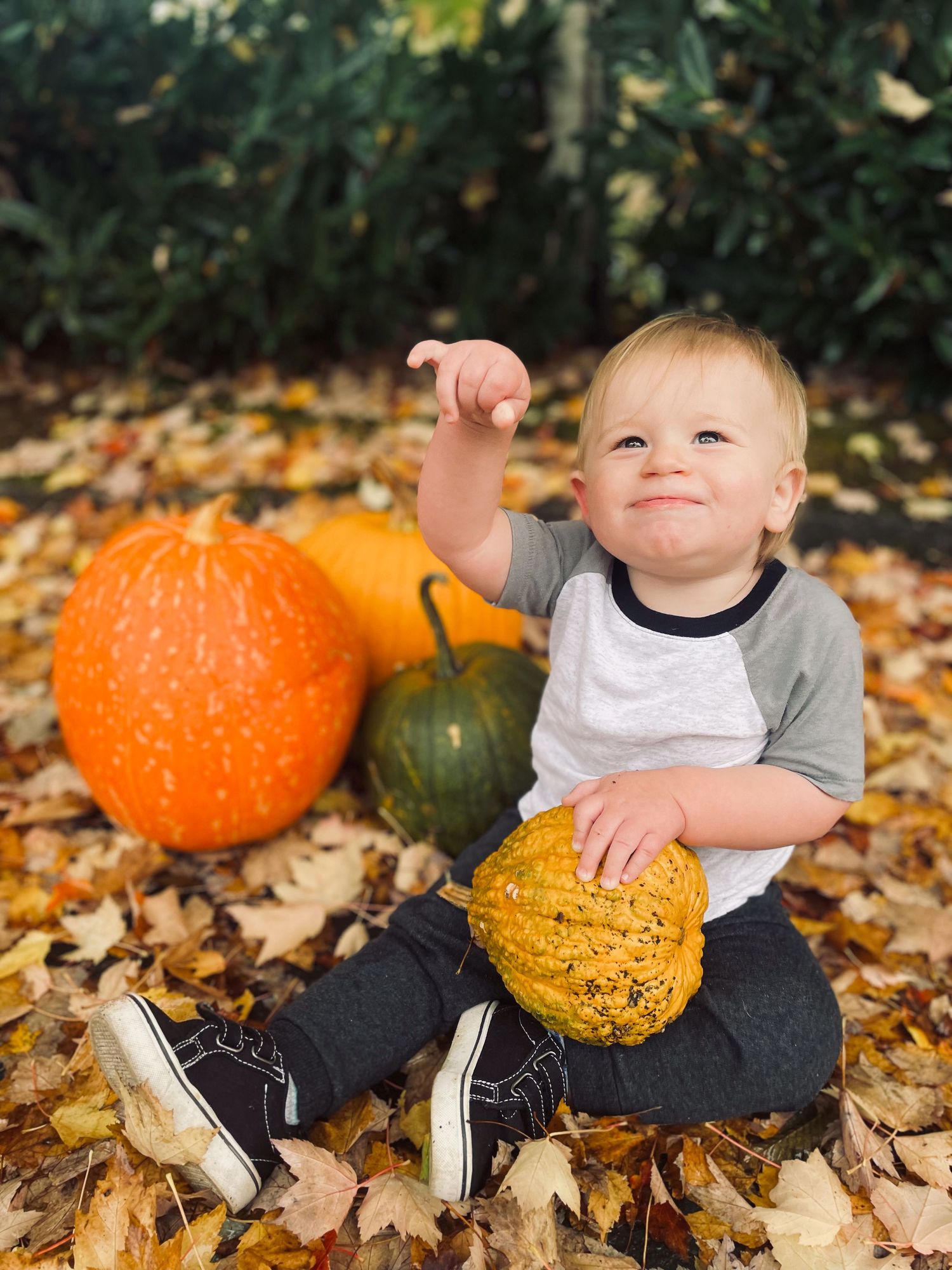 Happy toddler sitting in autumn leaves holding a gourd surrounded by pumpkins.