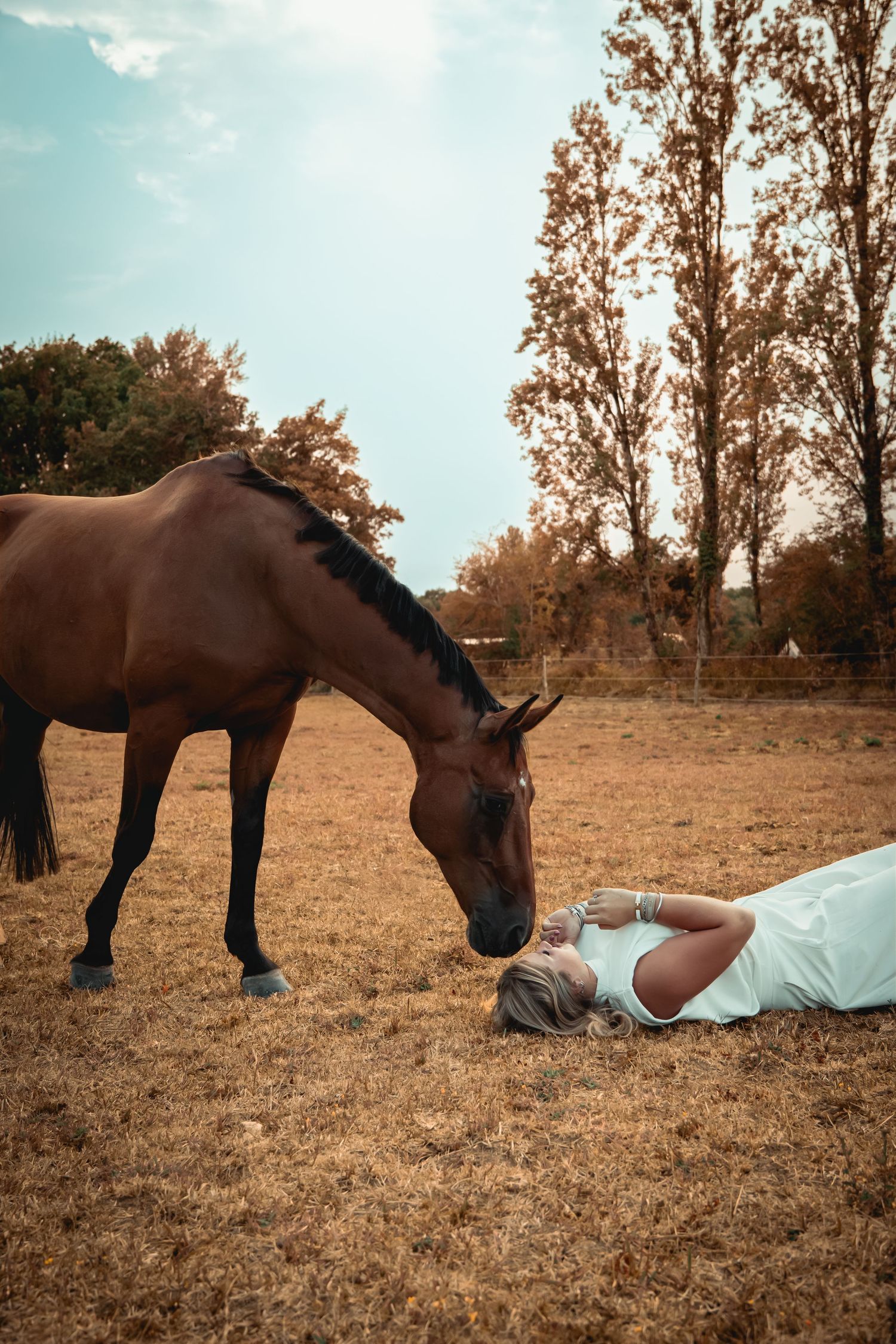 Photographie équestre d’un cavalier avec son cheval, mettant en valeur la complicité, la confiance et le lien entre l’humain et l’animal.