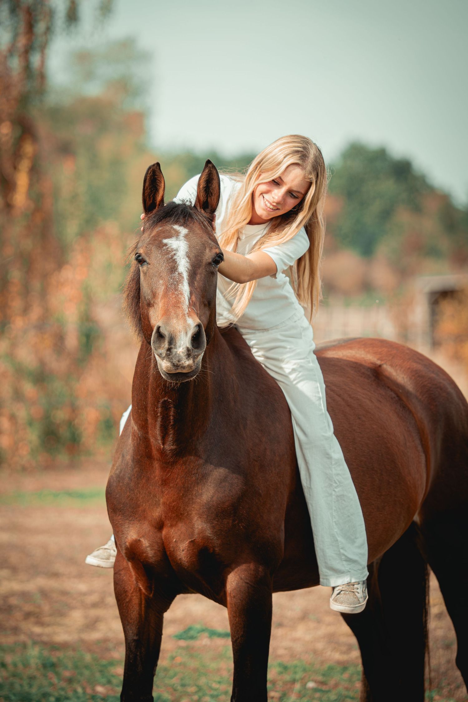 Photographie équestre d’un cavalier avec son cheval, mettant en valeur la complicité, la confiance et le lien entre l’humain et l’animal.