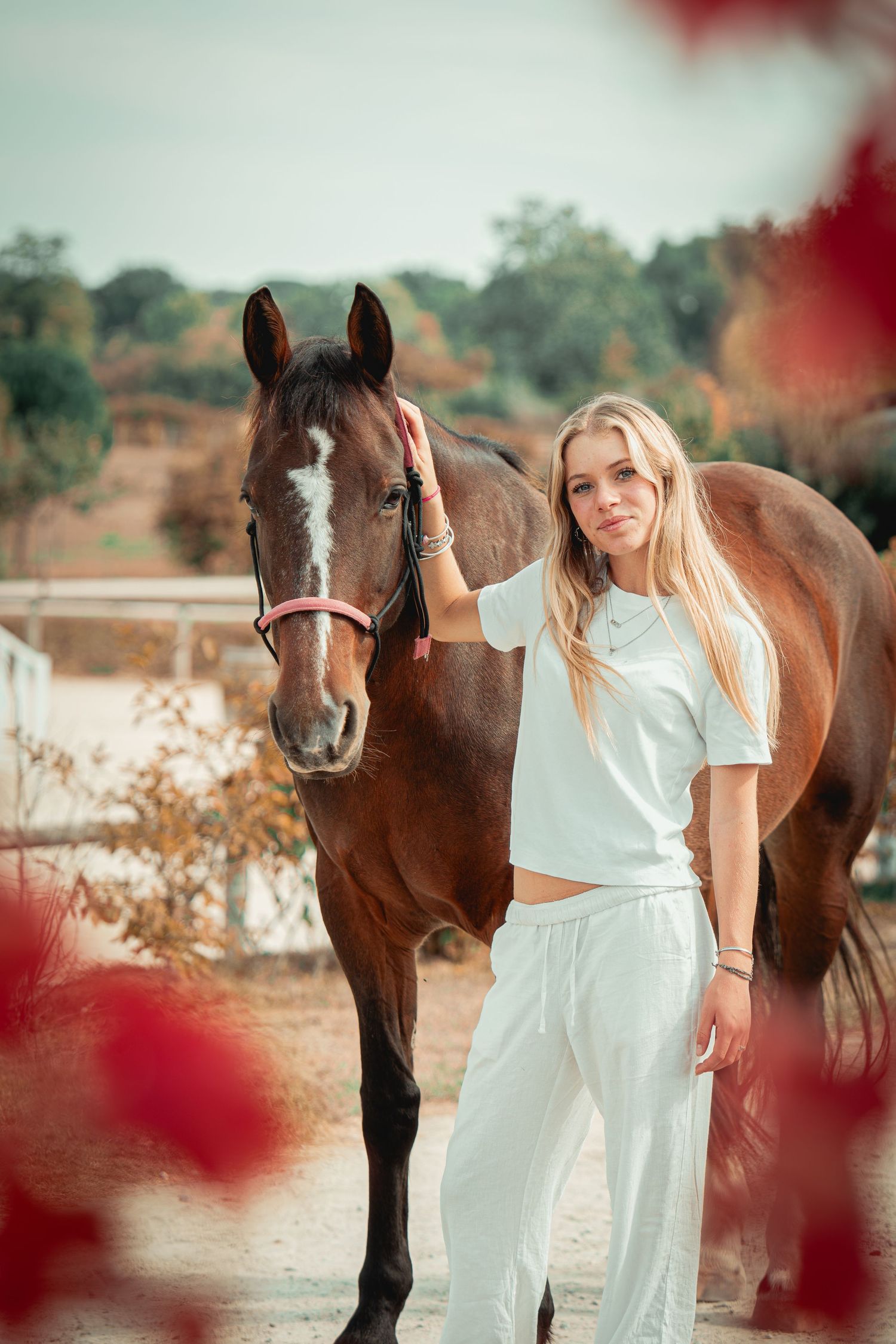Photographie équestre d’un cavalier avec son cheval, mettant en valeur la complicité, la confiance et le lien entre l’humain et l’animal.