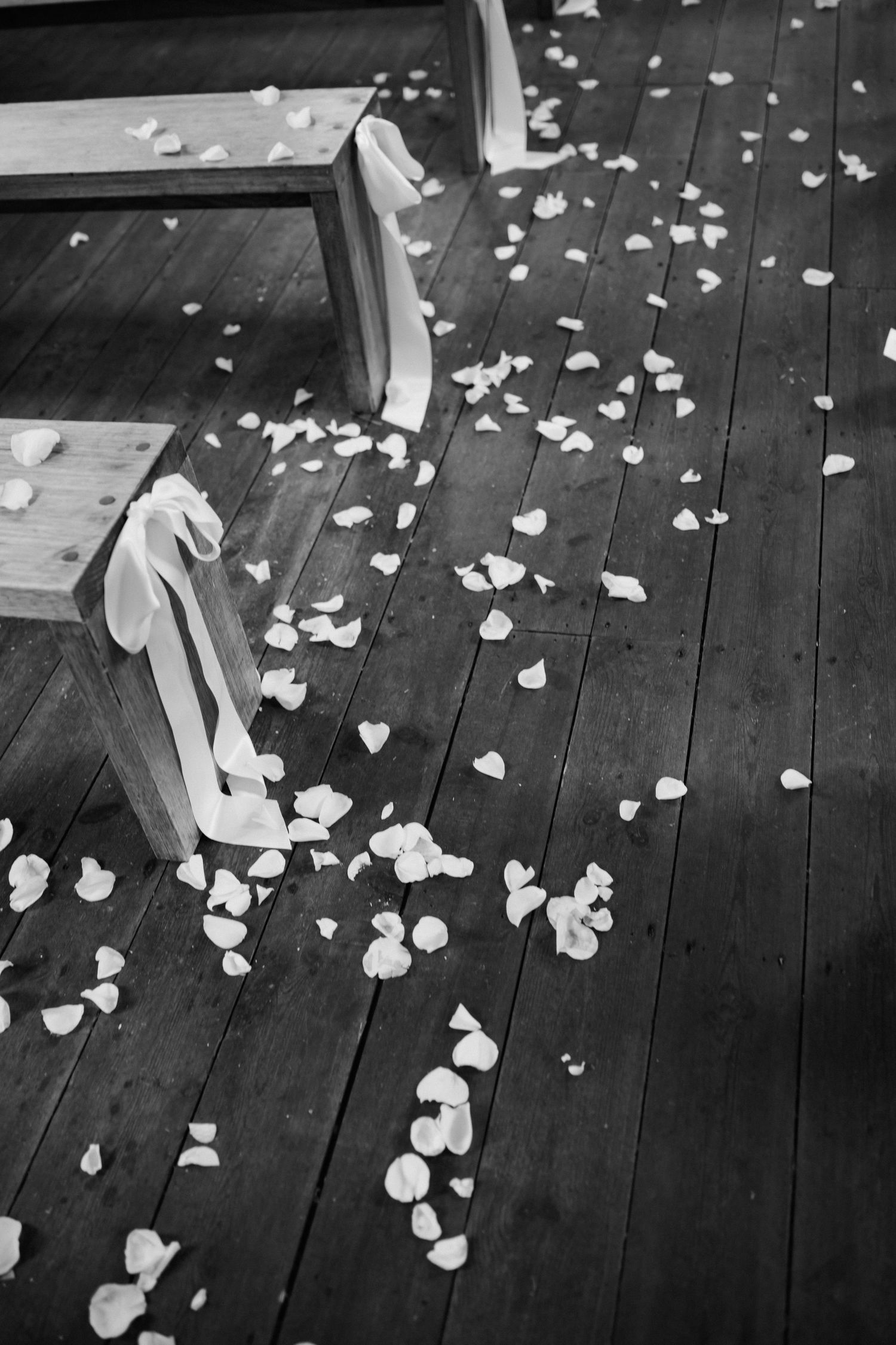 Black and white photo of white rose petals scattered on a wooden church aisle floor.
