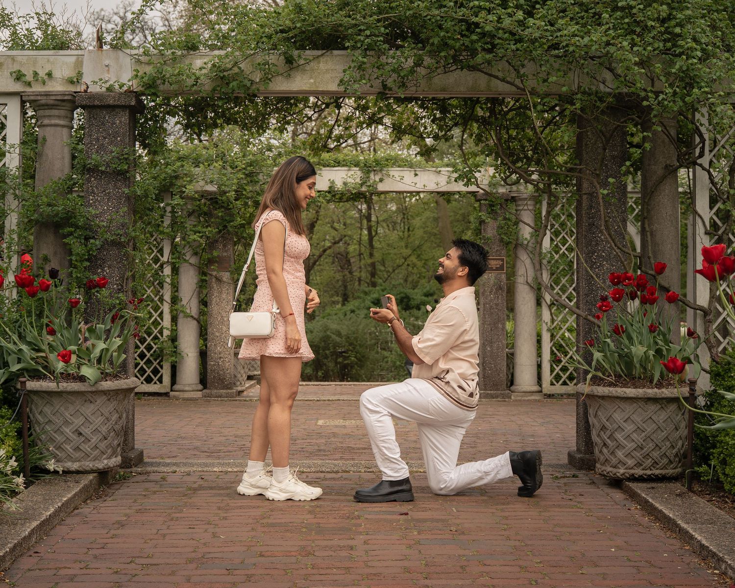 Man proposing to woman in a beautiful garden with red tulips and a floral archway.