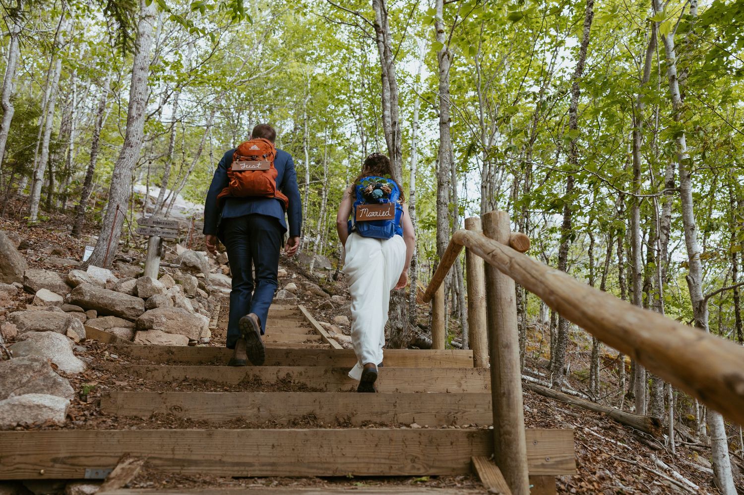 Two hikers with backpacks climbing wooden forest stairs surrounded by trees on a scenic nature trail.